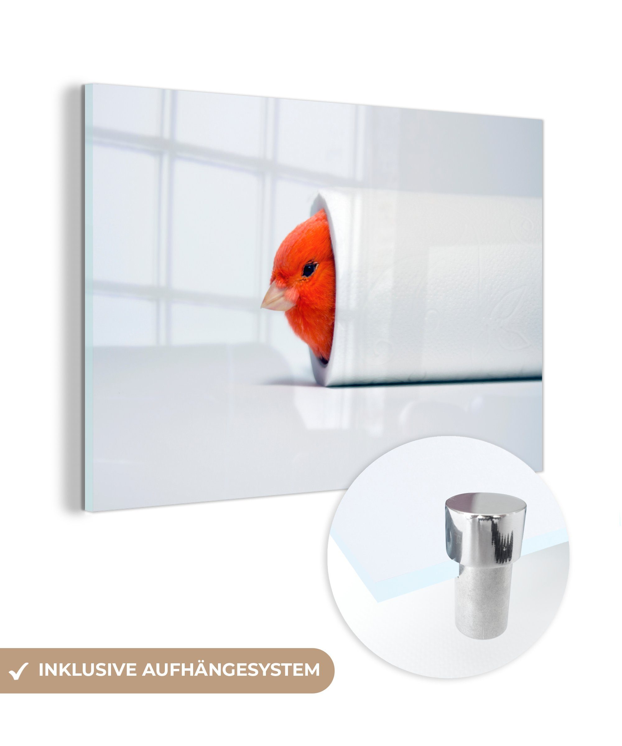 MuchoWow Acrylglasbild Roter & im Schlafzimmer Wohnzimmer Toilettenpapier, Kanarienvogel (1 St), Acrylglasbilder