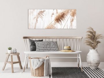 artissimo Glasbild Glasbild XXL 125x50 cm Bild aus Glas groß hell beige weiß Gräser, Natur und Pflanzen: Pampas-Gras im Wind