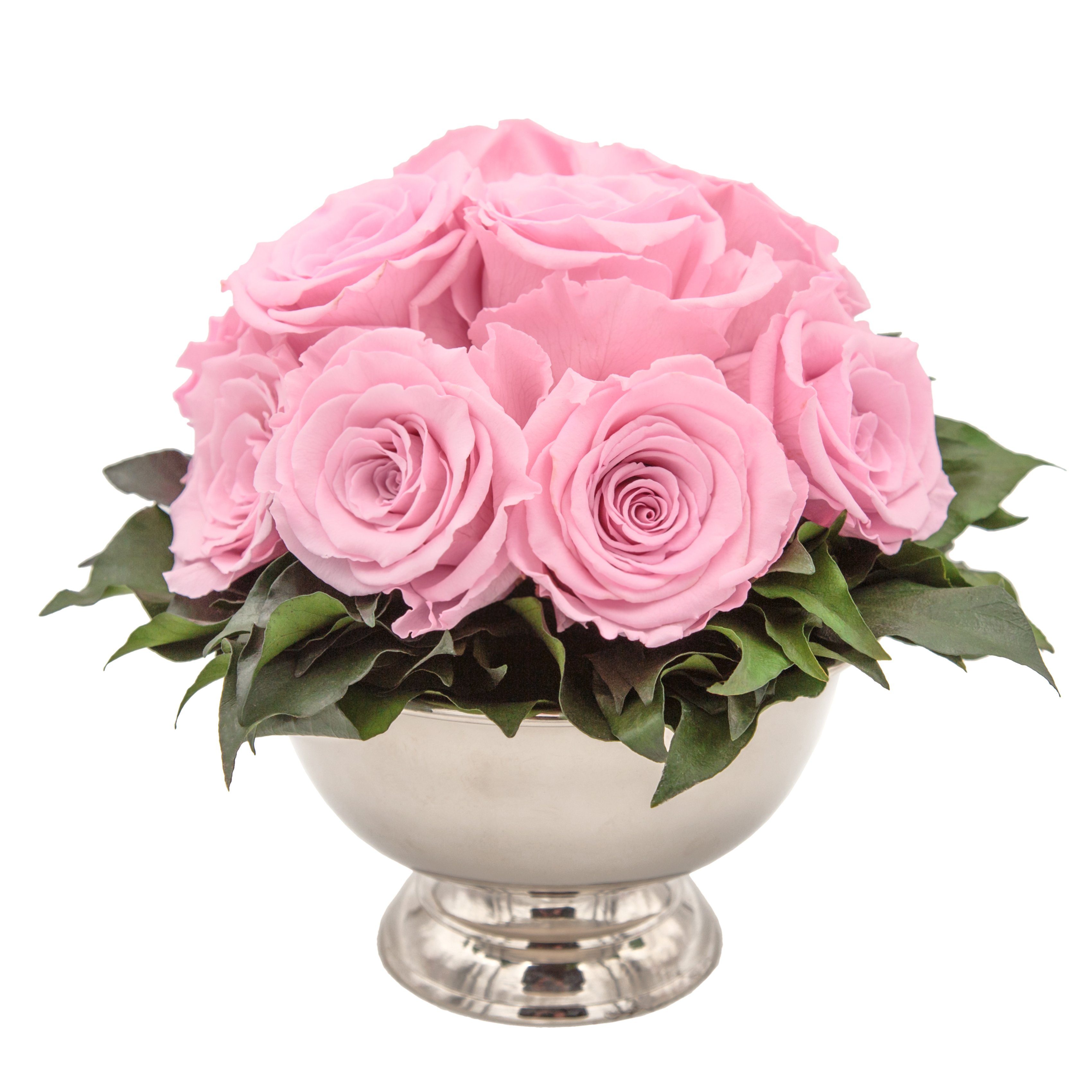 Kunstblume 11 Infinity Rosen in Blumenschale Blumenstrauß Rosenbox Rose, ROSEMARIE SCHULZ Heidelberg, Höhe 18 cm, Echte Blumen 3 Jahre haltbar I Geschenk für Frauen Rosa