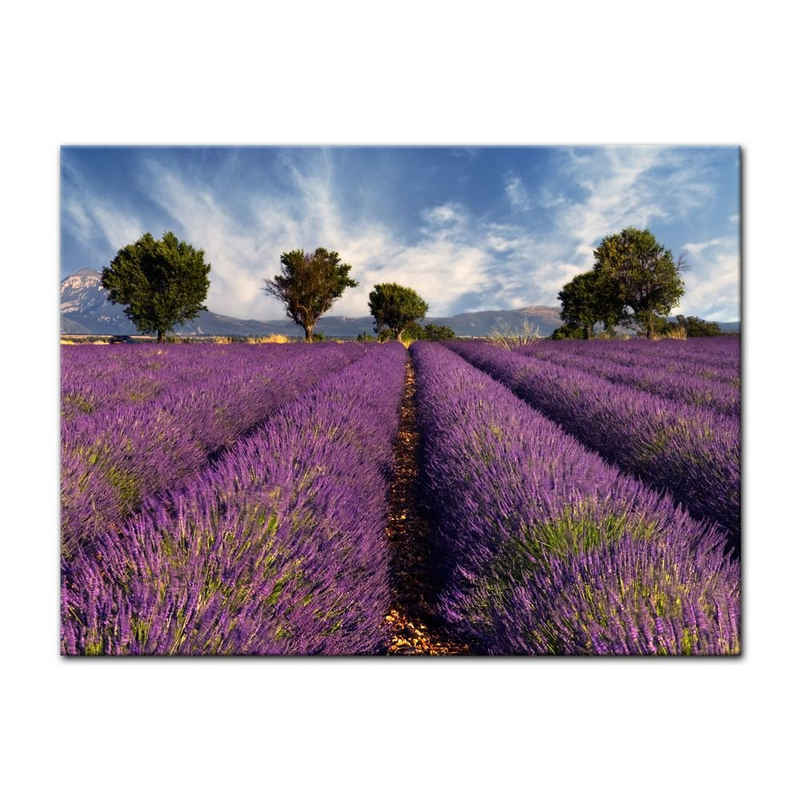 Bilderdepot24 Leinwandbild Lavendelfeld in der Provence - Frankreich, Landschaften