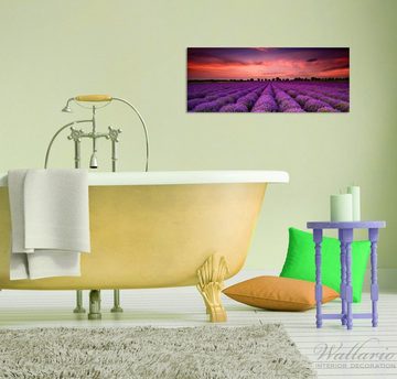 Wallario Glasbild, Lavendelfeld unter rotem Himmel, in verschiedenen Ausführungen