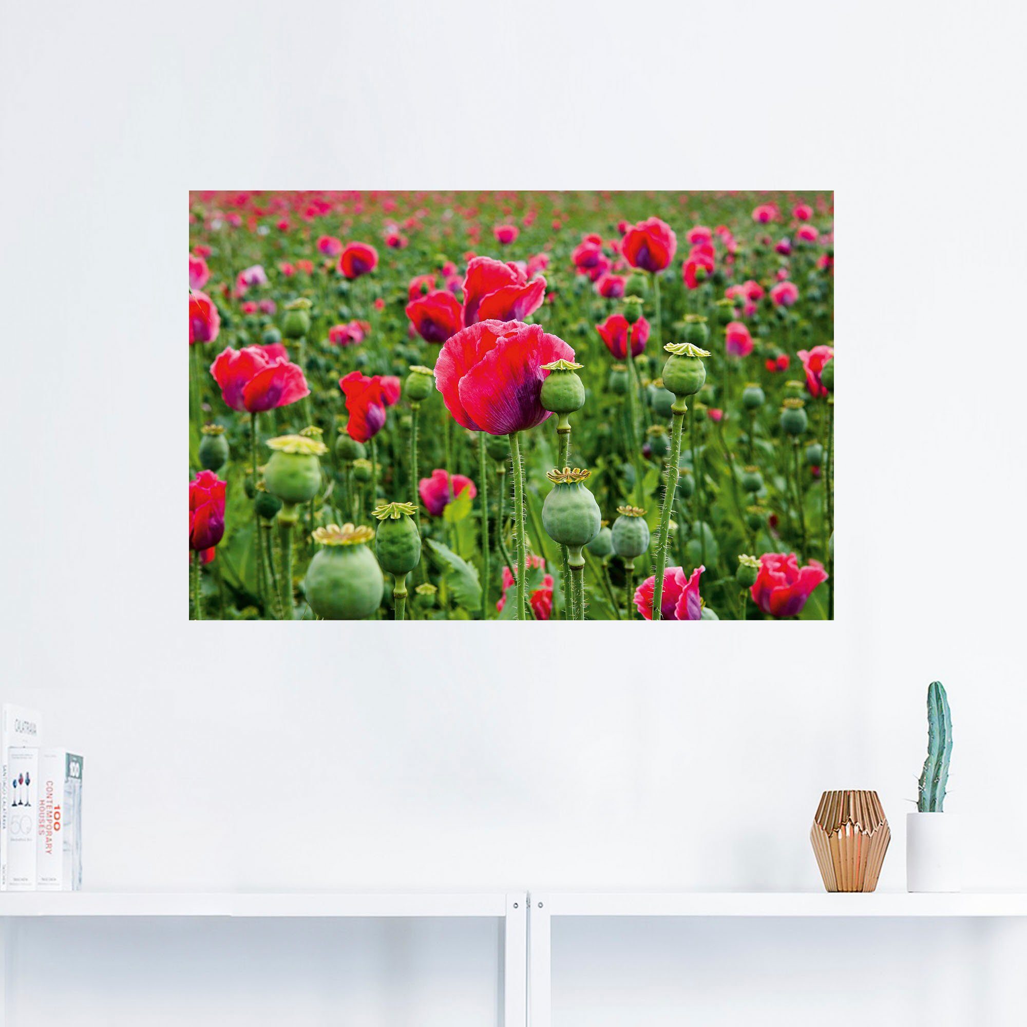 Nahaufnahme, als versch. in St), Blumenwiese Alubild, (1 Artland Mohnblumen Größen Leinwandbild, oder Wandbild Poster Wandaufkleber