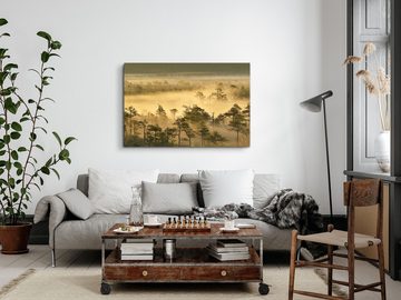Sinus Art Leinwandbild 120x80cm Wandbild auf Leinwand Wald Morgentau Nebel Bäume Natur Braun, (1 St)