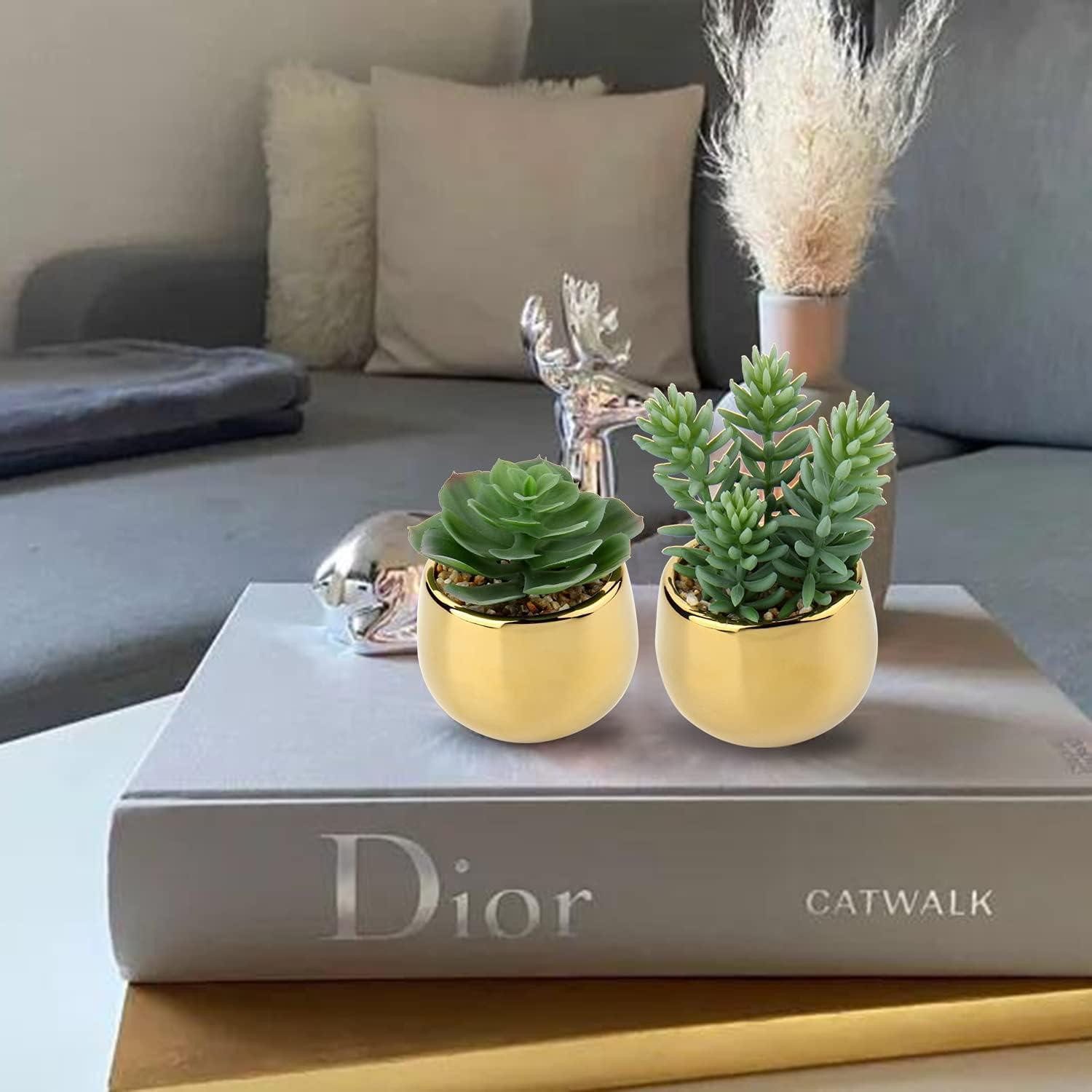 Kunstkaktus Kunstpflanzen Sukkulenten Keramiktopf Deko Wohnzimmer Gold Type-#1, LuxusKollektion