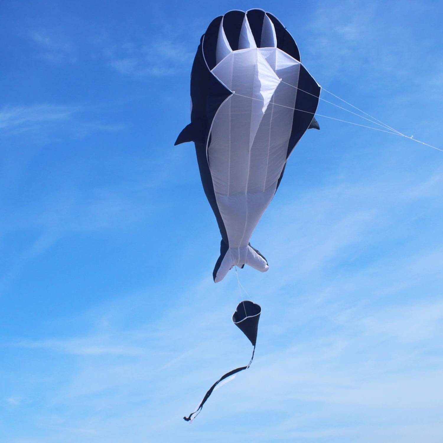 Wolkenstürmer Flug-Drache für Kinder Outdoor Flugspaß und Familie, (Tierdrachen für Kinder - Outdoor Spaß für Garten und Urlaub, 1-tlg), Willi the Whale 3D Kinderdrachen Wal