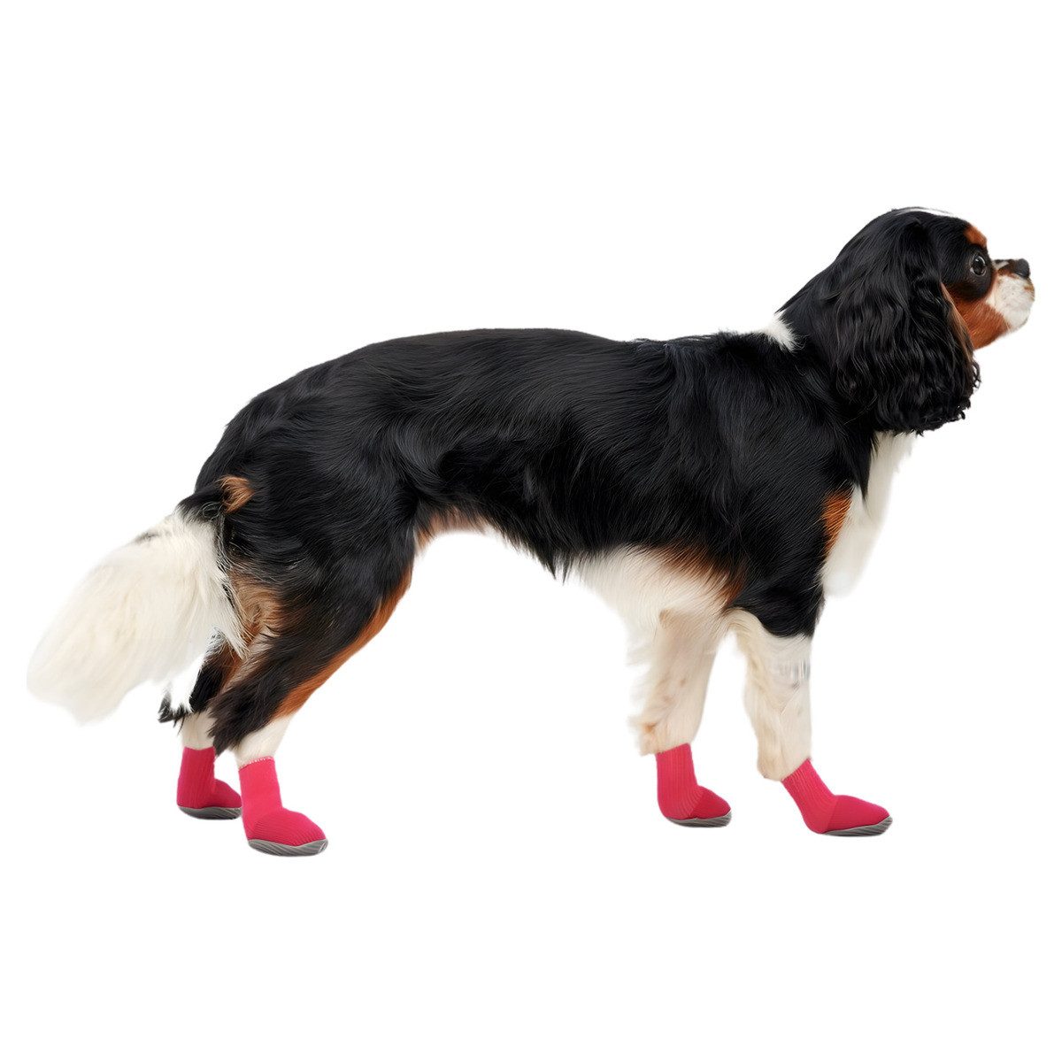 Goo-eez Hundekostüm Hundeschuhe Lites rot/schwarz - 4 Stück