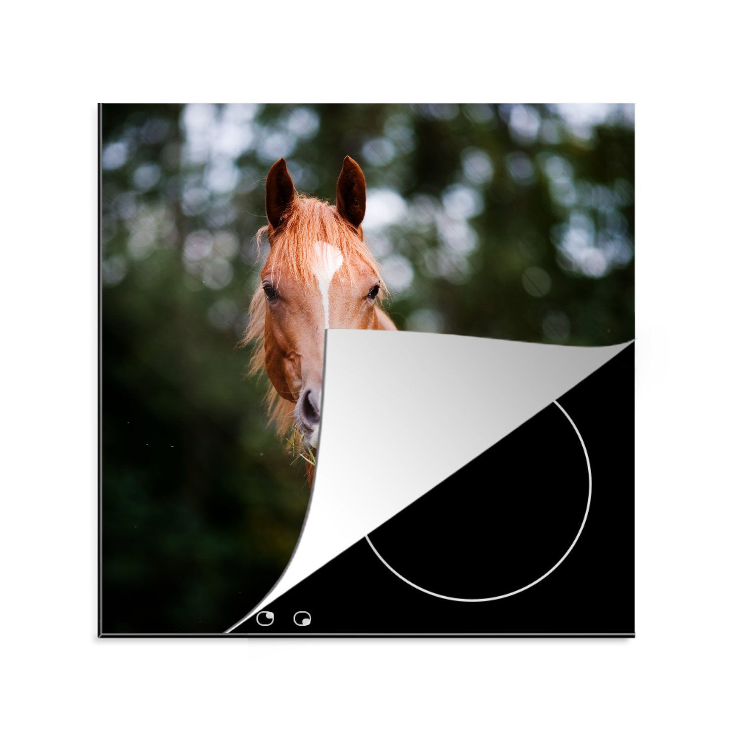 MuchoWow Herdblende-/Abdeckplatte Pferd - Licht - Gras, Vinyl, (1 tlg), 78x78 cm, Ceranfeldabdeckung, Arbeitsplatte für küche