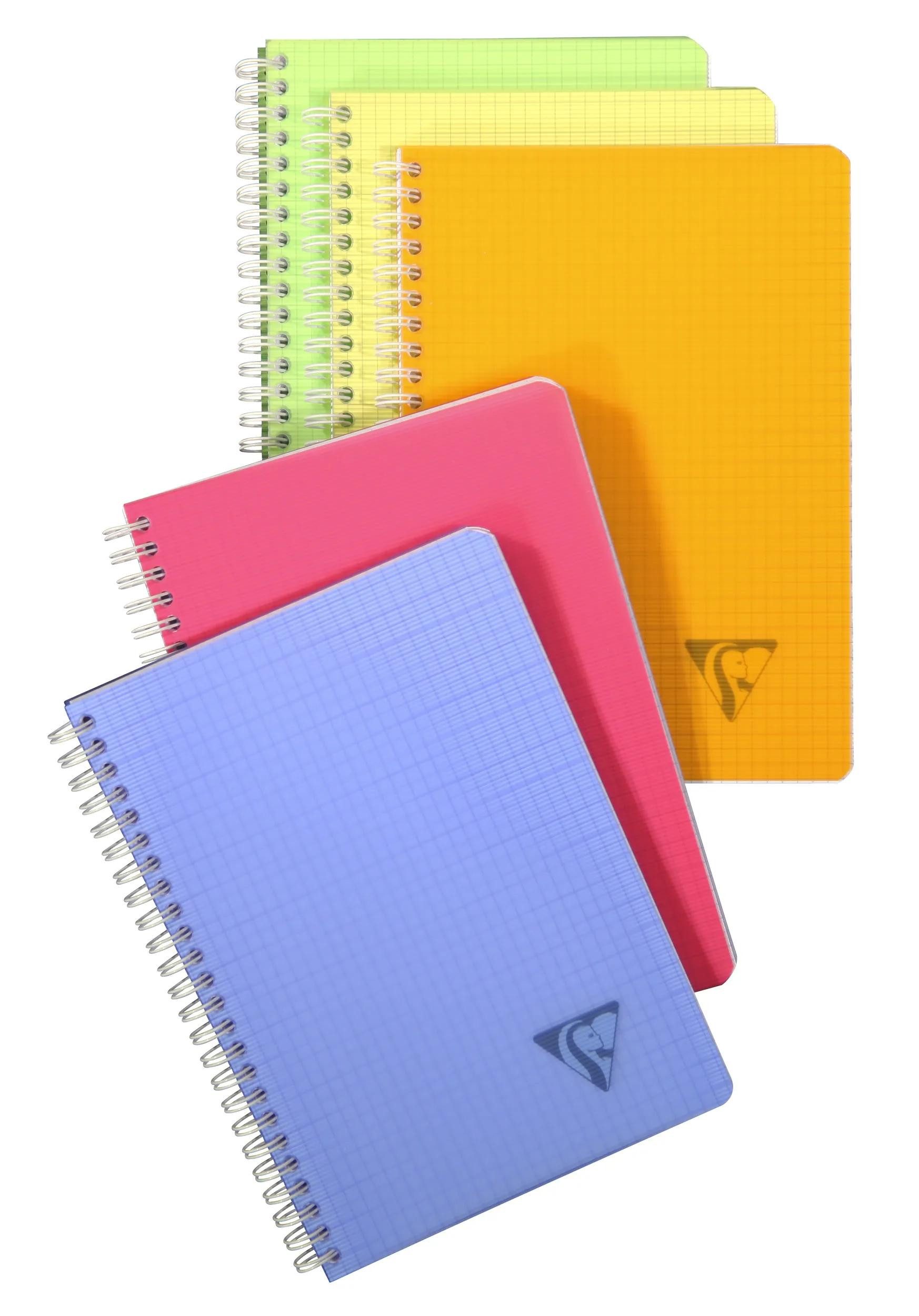 CLAIREFONTAINE Notizbuch 5x Notizheft DIN A5, 90 Blatt 90g kariert sortiert 328506C, Linicolor, Age Bag und Europa