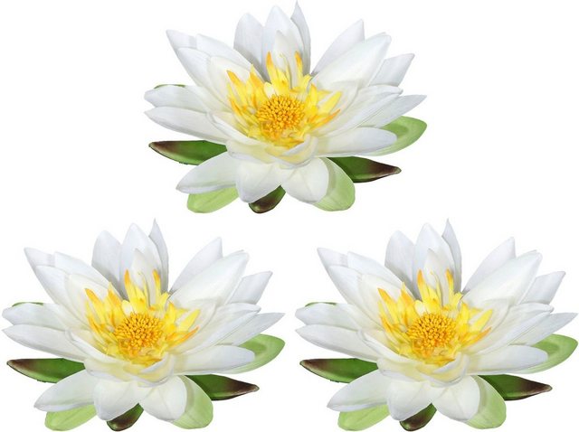 Kunstblume »Lotusblüte«, Creativ green, Höhe 5 cm, im 3er Set-Otto