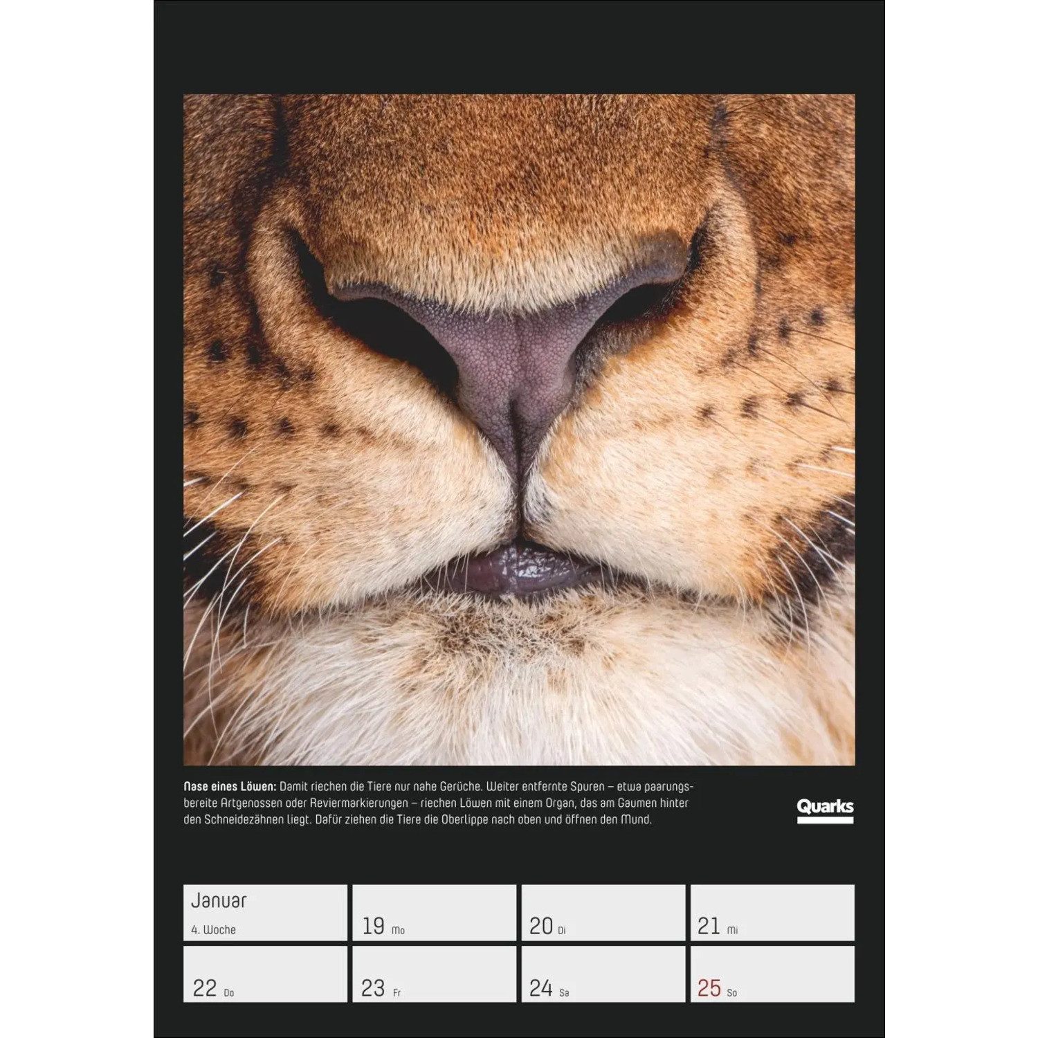 Harenberg Kalender Verlag Wandkalender Quarks. Die Welt, wie du sie noch nie gesehen hast Wochenplaner 2026