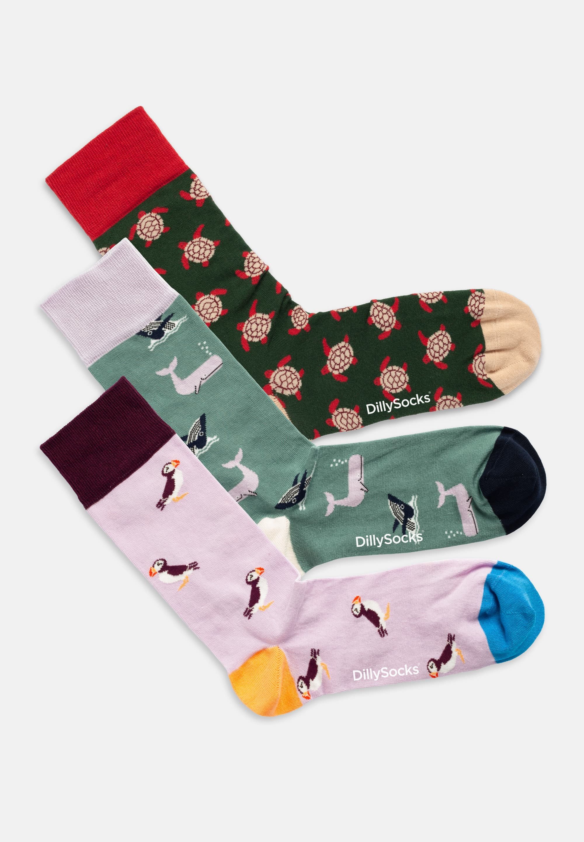 DillySocks Basicsocken Ocean Enthusiasts Aus Baumwolle & recyceltem Polyamid