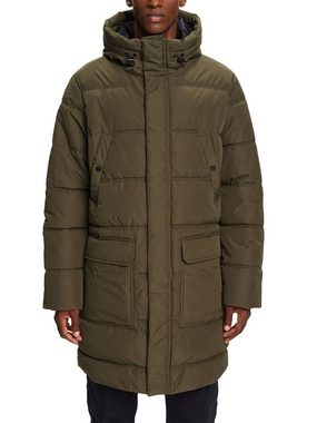 Esprit Steppjacke Gesteppte Pufferjacke