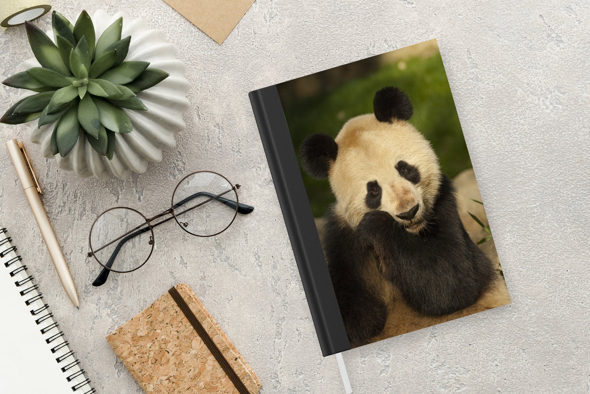 Tagebuch, - Journal, Tier - Panda Merkzettel, MuchoWow Notizheft, Notizbuch 98 A5, Seiten, Haushaltsbuch Weiß,