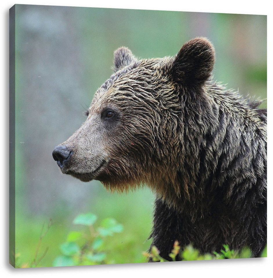 Pixxprint Leinwandbild Kleiner Bär, Kleiner Bär (1 St), Leinwandbild fertig  bespannt, inkl. Zackenaufhänger