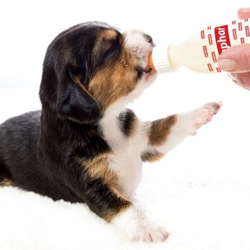 beaphar Kauspielzeug Lactol Aufzucht Set für Hunde (Flasche, Bürste & Sauger)