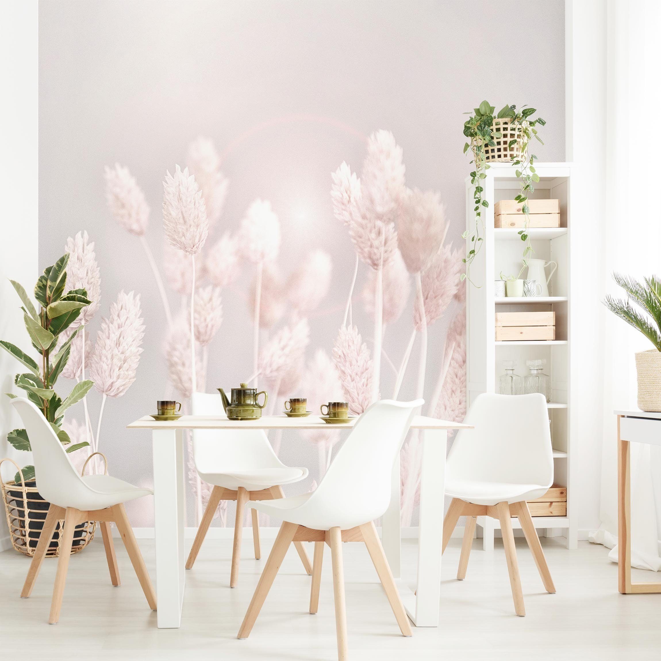 Bilderdepot24 Fototapete Blumen Helles Gras Sonnenlicht Blumentapete Floral Natur Modern Kunst, Glatt, Matt, (Vliestapete inkl. Kleister oder selbstklebend), Wohnzimmer Schlafzimmer Küche Flur Motivtapete Vliestapete Wandtapete