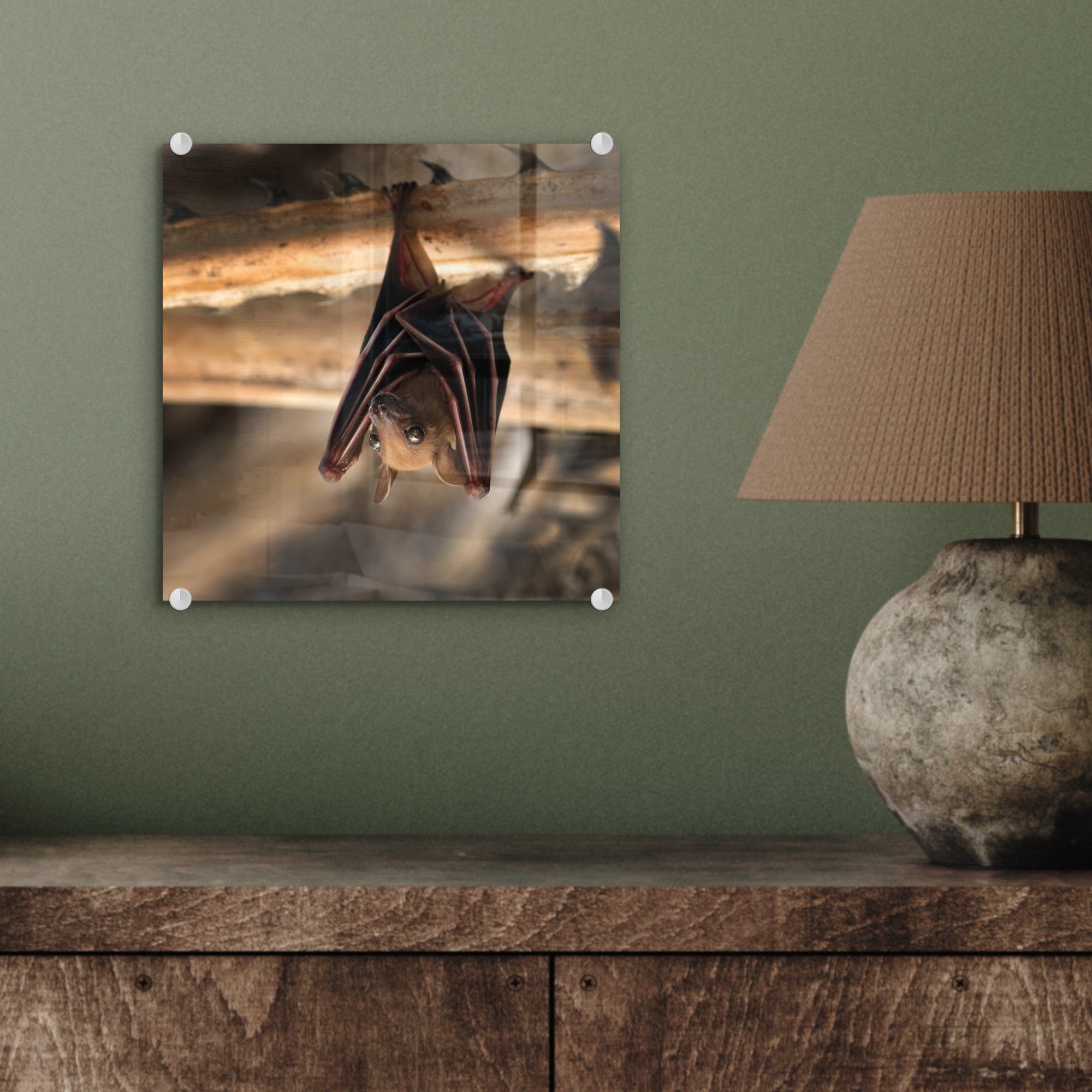 (1 Foto Glasbilder - Bilder St), Baby Wandbild Acrylglasbild - Holz, auf Wanddekoration Fledermaus MuchoWow - auf - - Glas Glas