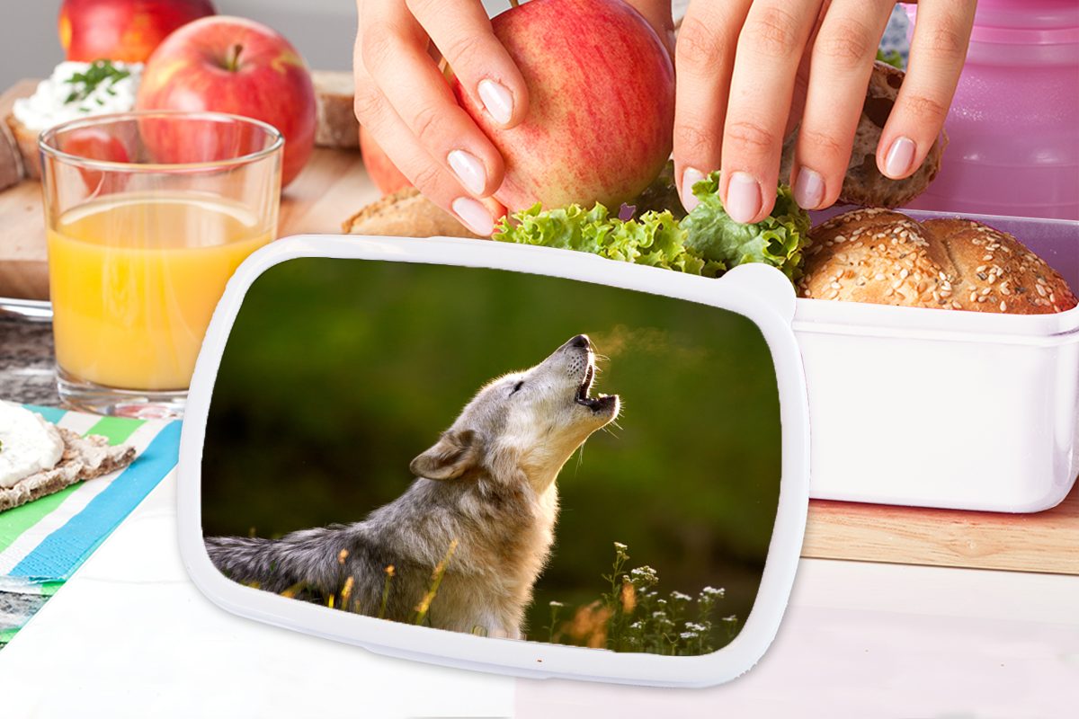 MuchoWow Lunchbox Wolf - Wald Mädchen für und weiß für Brotdose, Erwachsene, Brotbox (2-tlg), und Kunststoff, Kinder Jungs Natur, 
