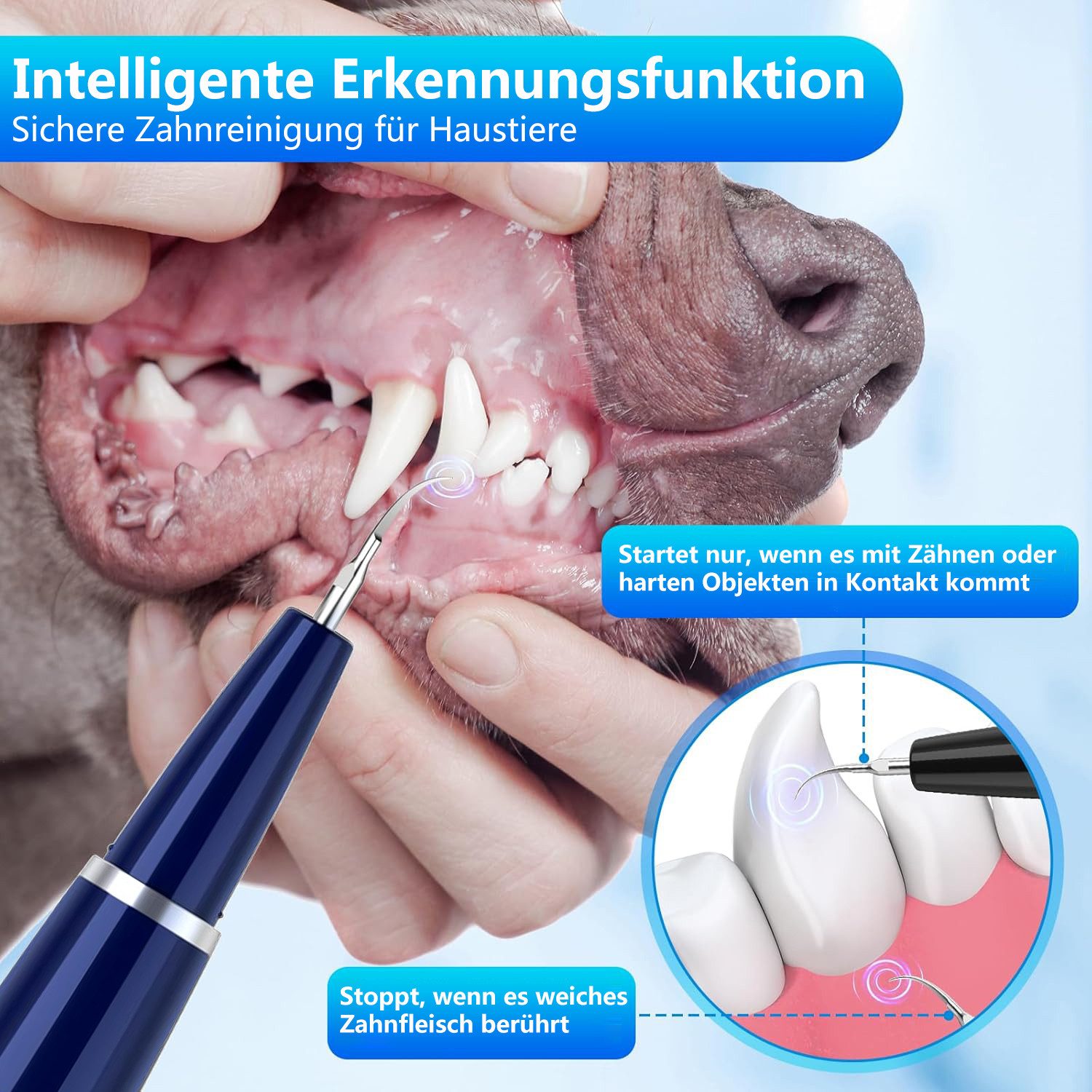 Futicare Zahnpflege-Set Ultraschall-Zahnreiniger für Hunde/Katzen 5 Modi & 3 Köpfe, IPX7 wasserdicht (1500mAh)​