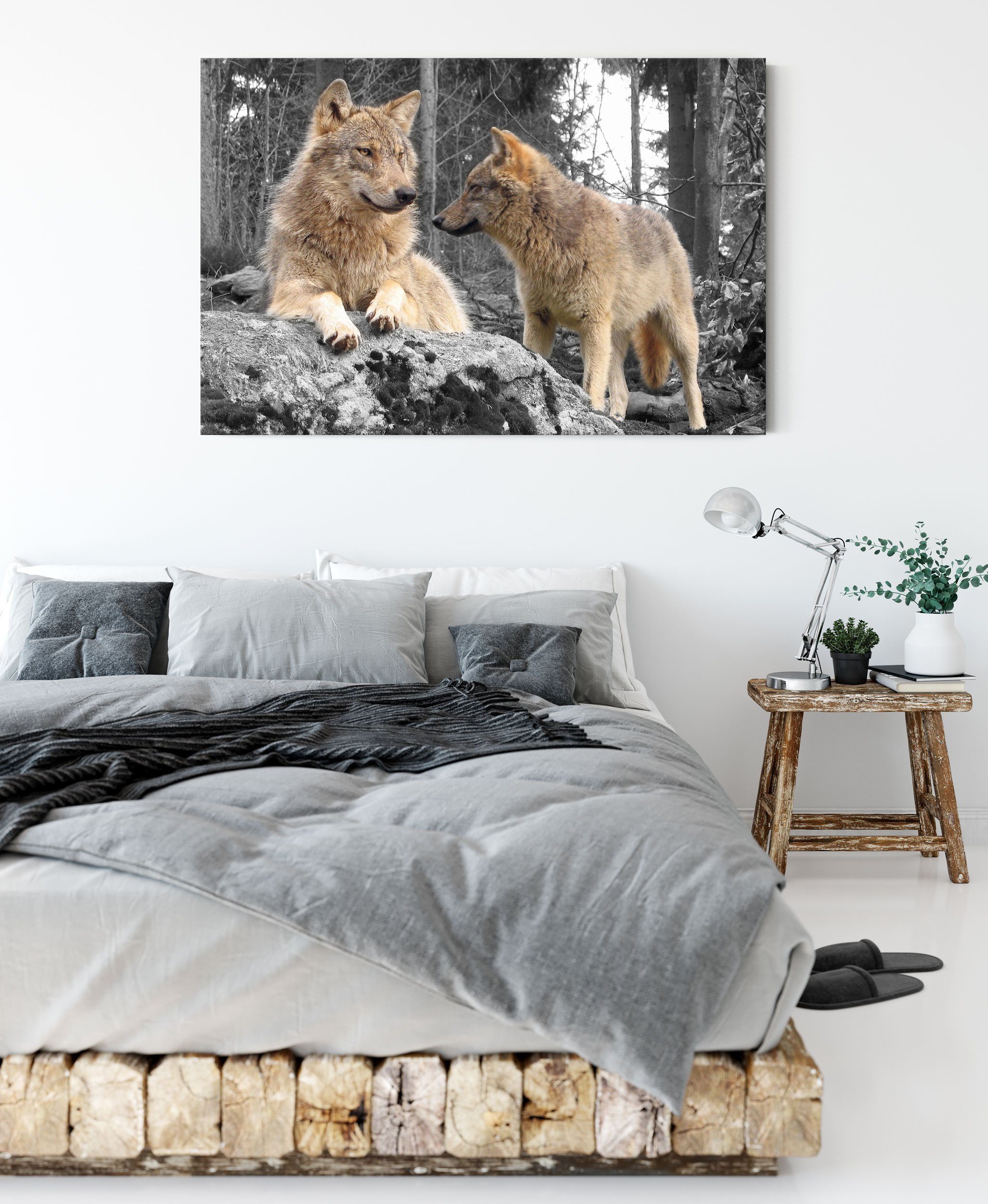 Leinwandbild Wald, St), (1 bespannt, Wölfe Wölfe im Zackenaufhänger inkl. Leinwandbild Pixxprint Wald fertig im