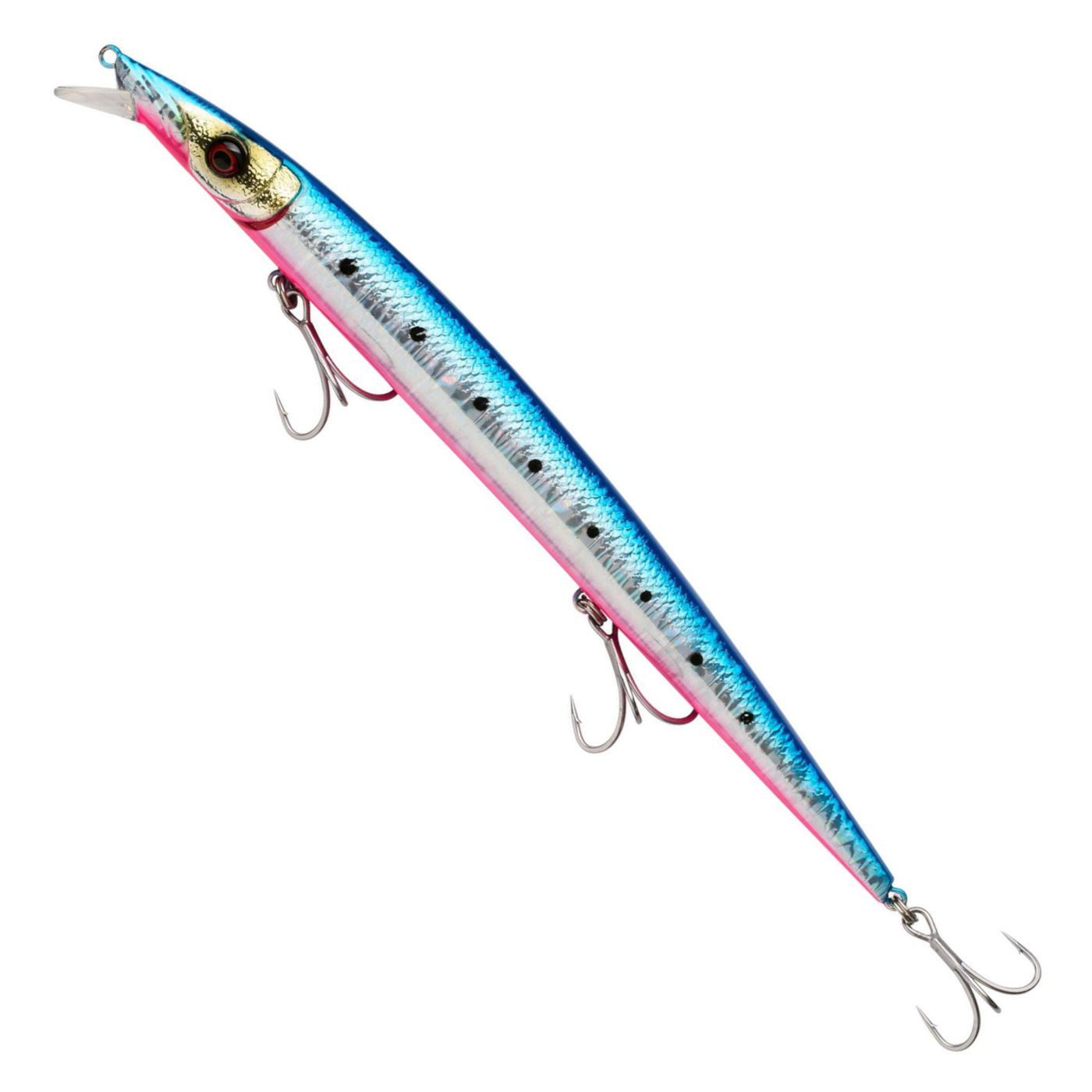 Pinkbelly Sardine