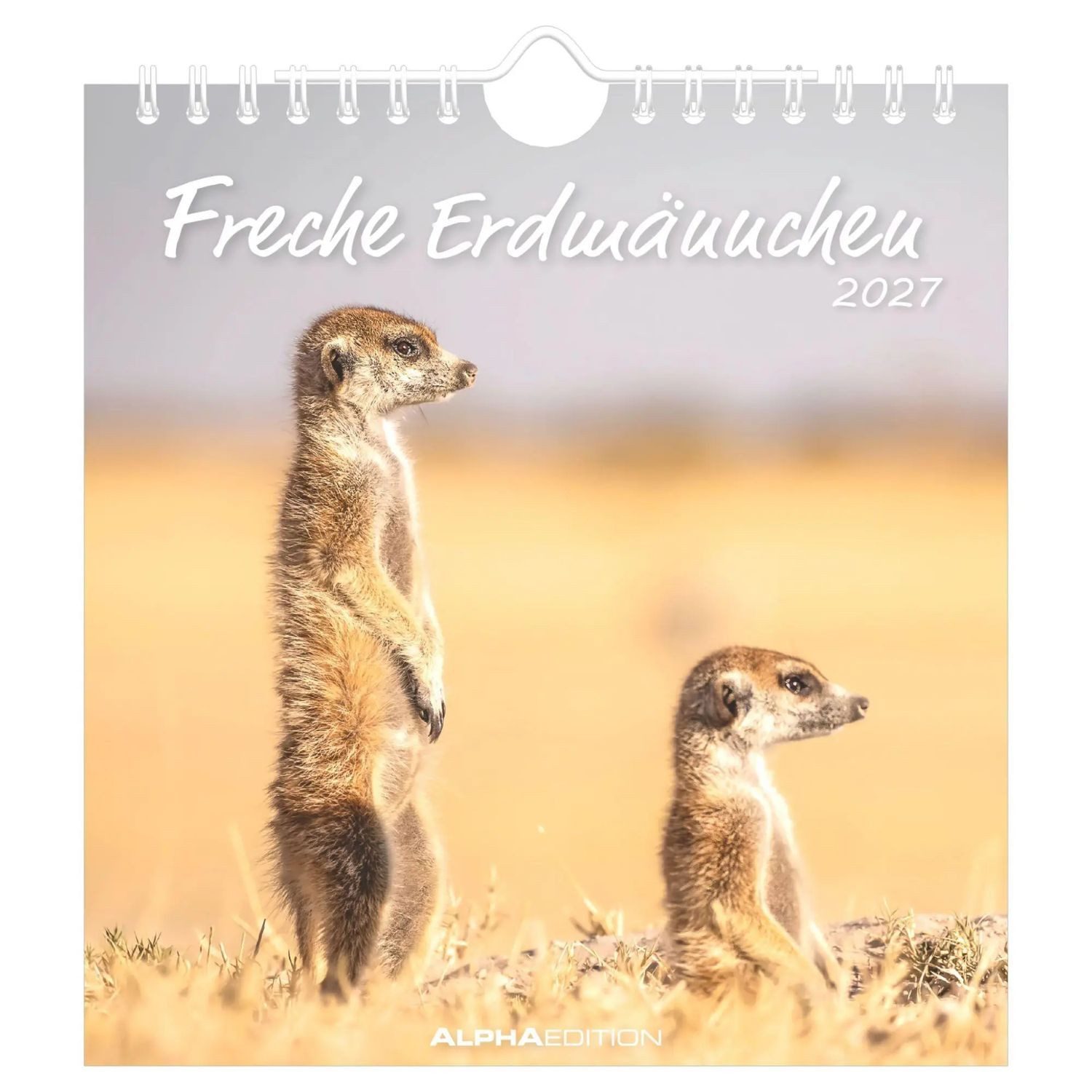 Alpha Edition Wandkalender Freche Erdmännchen 2027