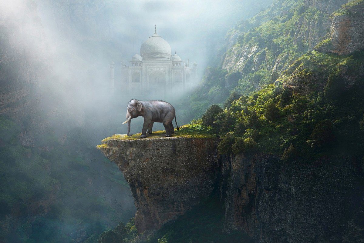 Taj Fototapete Mahal Elefant Papermoon Indischer