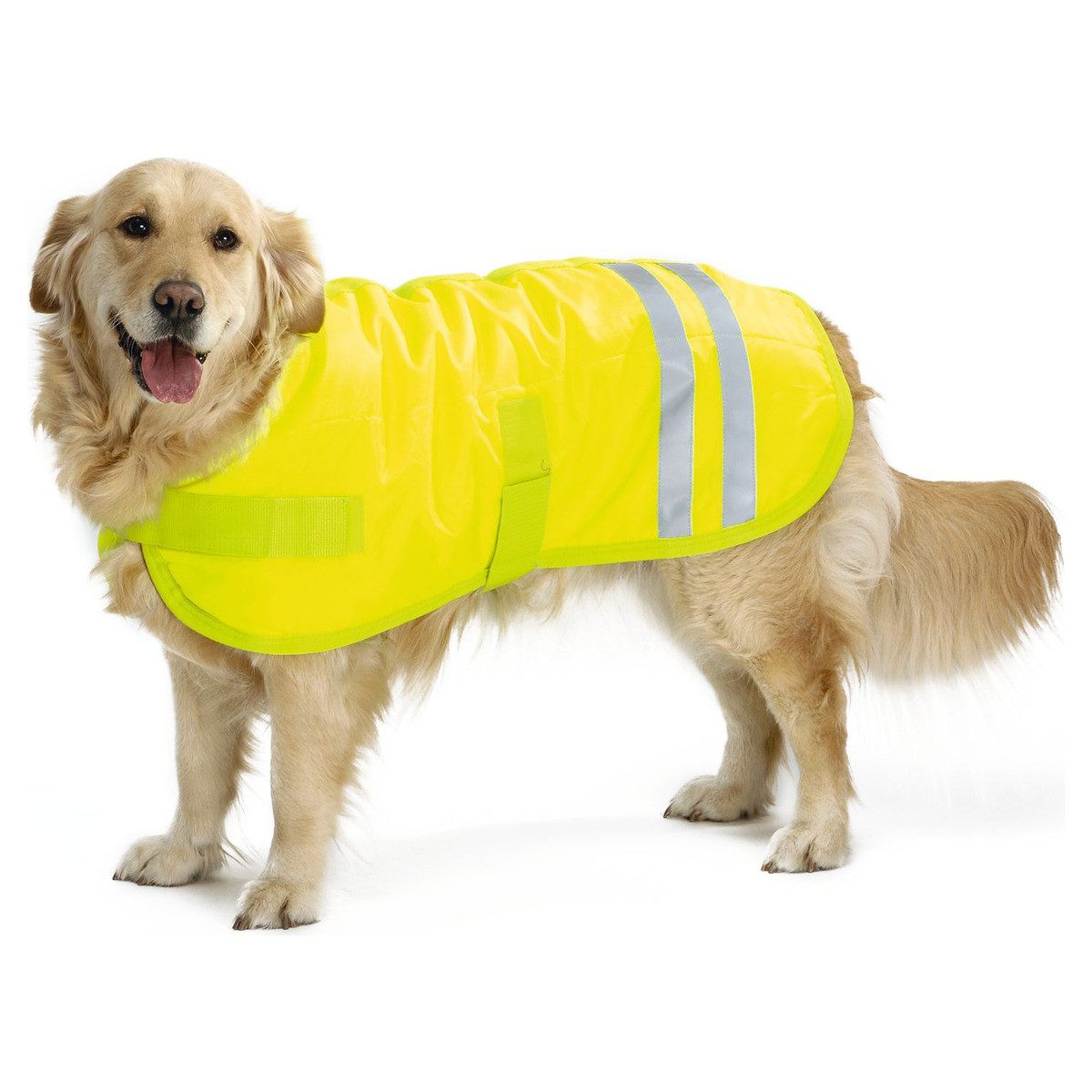 Beeztees Hundewarnweste Hundemantel Teddie, reflektierend gelb