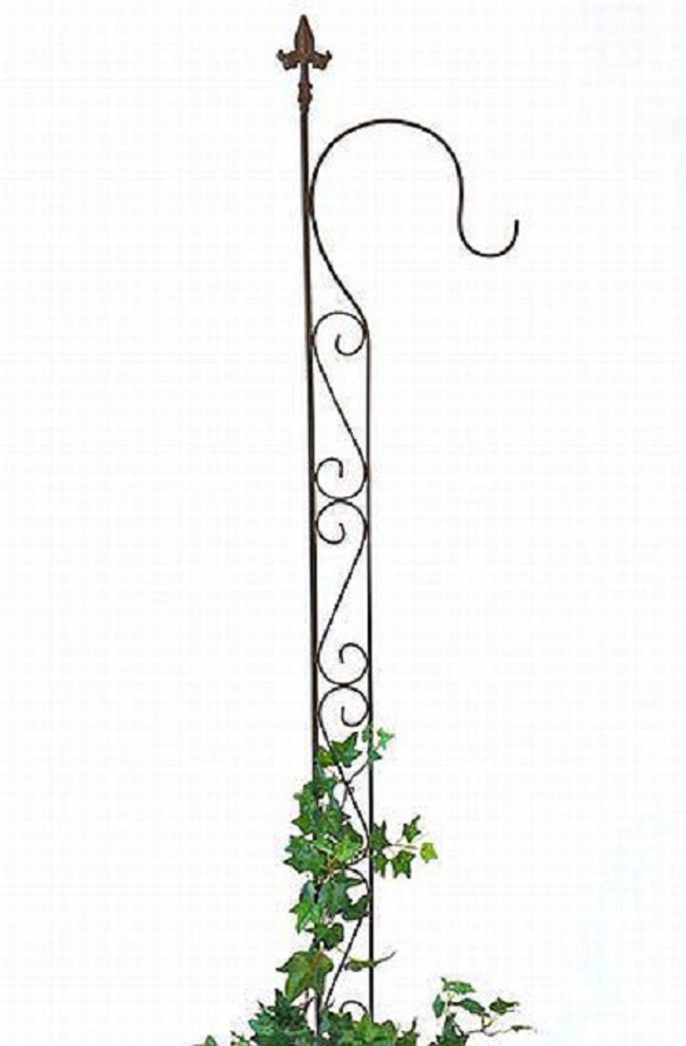 DanDiBo Rankhilfe Rankhilfe mit 1 Halter Rankgitter aus Metall H144 cm