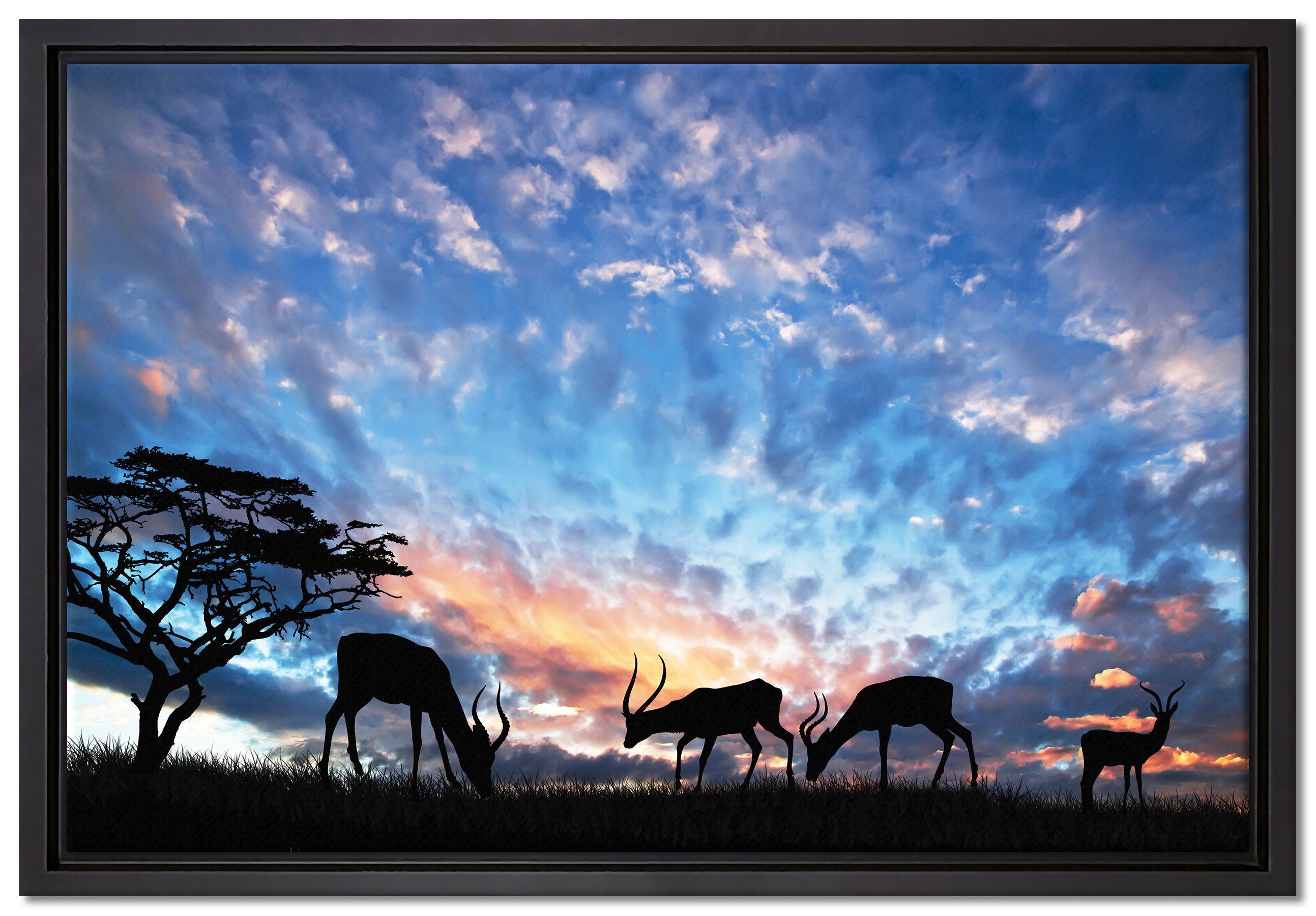 Pixxprint Leinwandbild Tiere in der Natur am Abend, Wanddekoration (1 St), Leinwandbild fertig bespannt, in einem Schattenfugen-Bilderrahmen gefasst, inkl. Zackenaufhänger