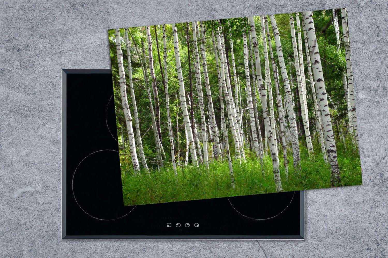 Wald Ceranfeldabdeckung MuchoWow Arbeitsfläche Herdblende-/Abdeckplatte (1 nutzbar, rohen Birken China, Vinyl, cm, aus Mobile im asiatischen Ein 70x52 tlg),