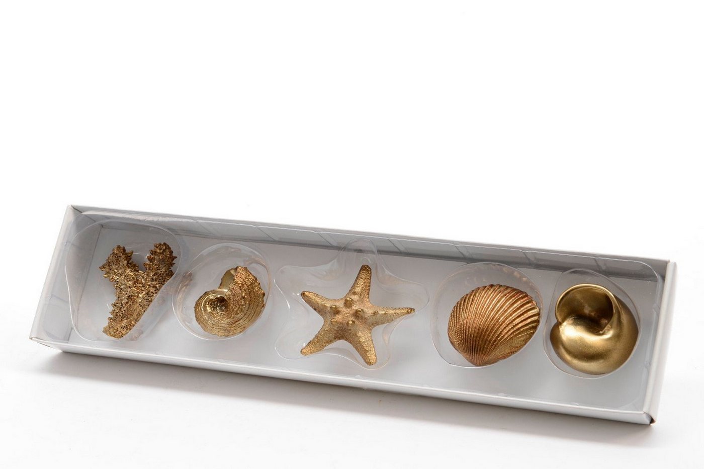 Kaemingk Dekofigur Muschel Schnecke Koralle Seestern Poly gold 5er Set
