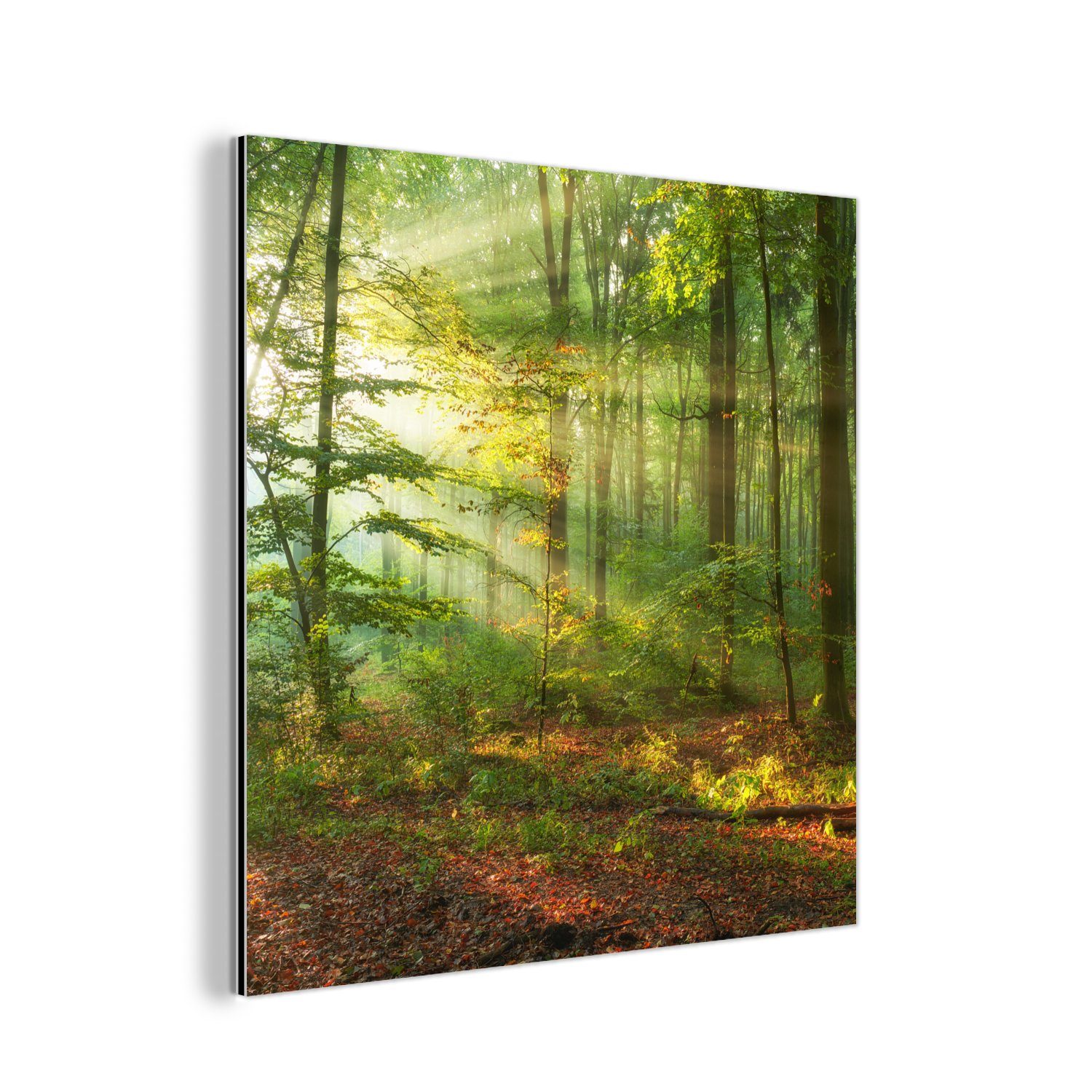 MuchoWow Metallbild Sonne - Wald - Bäume - Natur - Herbst, (1 St), Alu-Dibond-Druck, Gemälde aus Metall, Aluminium deko