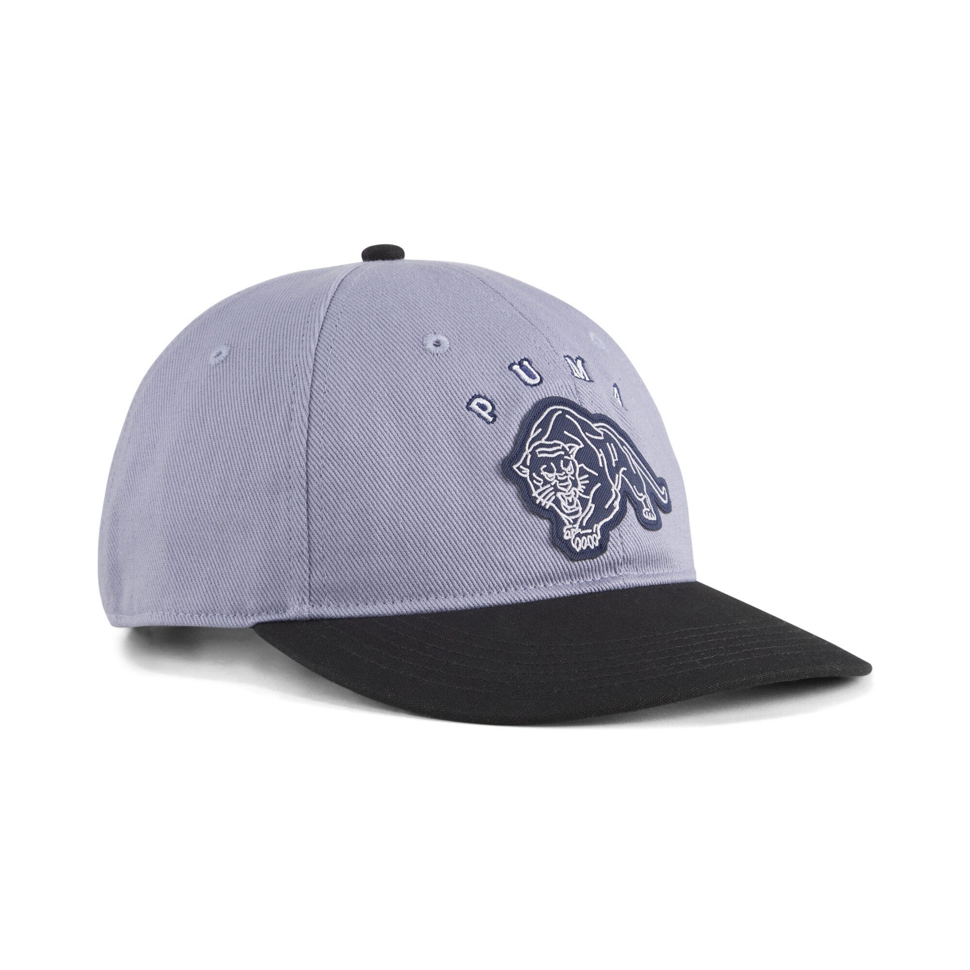 PUMA Flex Cap Vintage Low Curve Cap Erwachsene