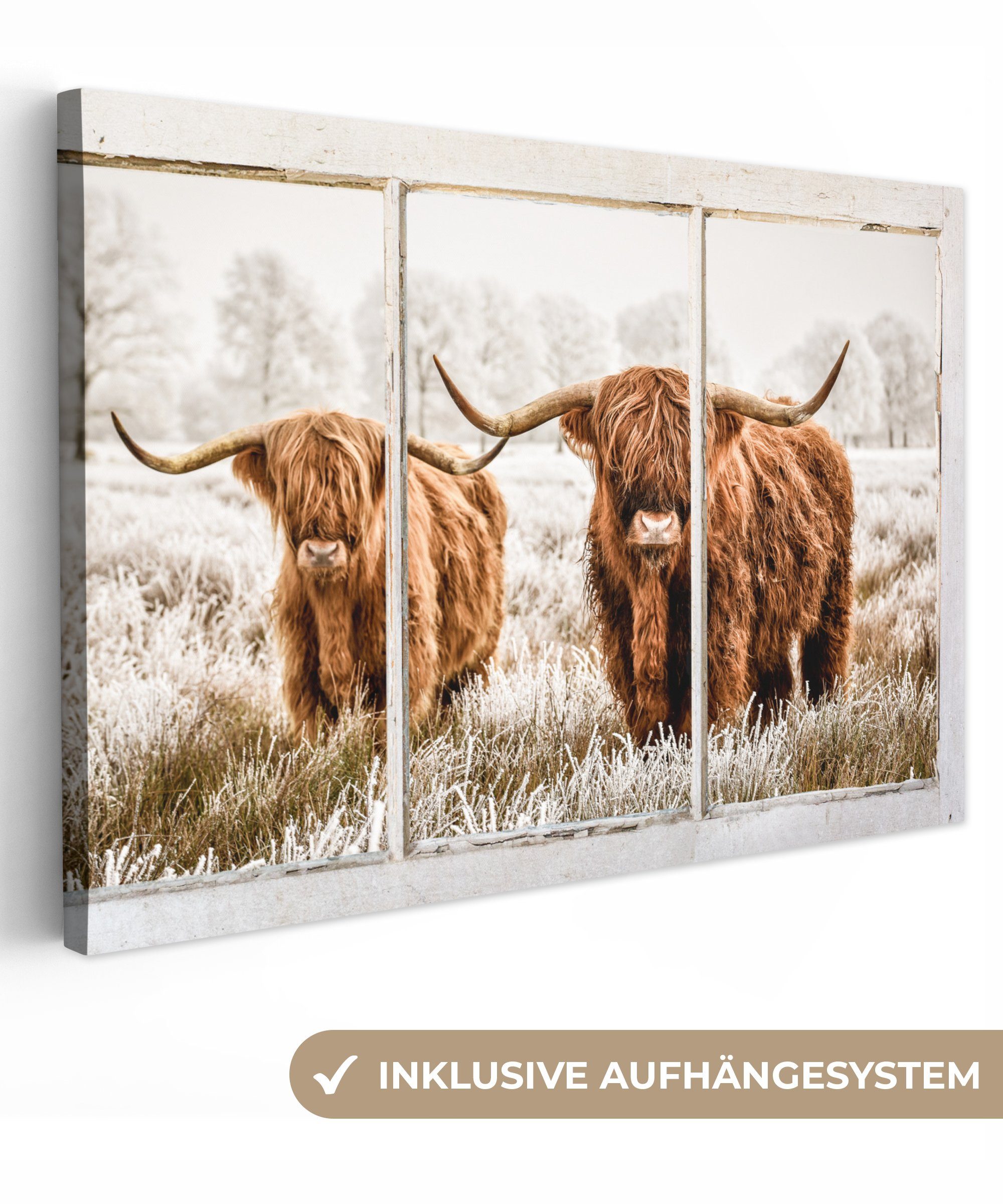 OneMillionCanvasses® Leinwandbild Scottish Highlander - Ansicht - Kuh, (1 St), Wandbild Leinwandbilder, Aufhängefertig, Wanddeko, 30x20 cm
