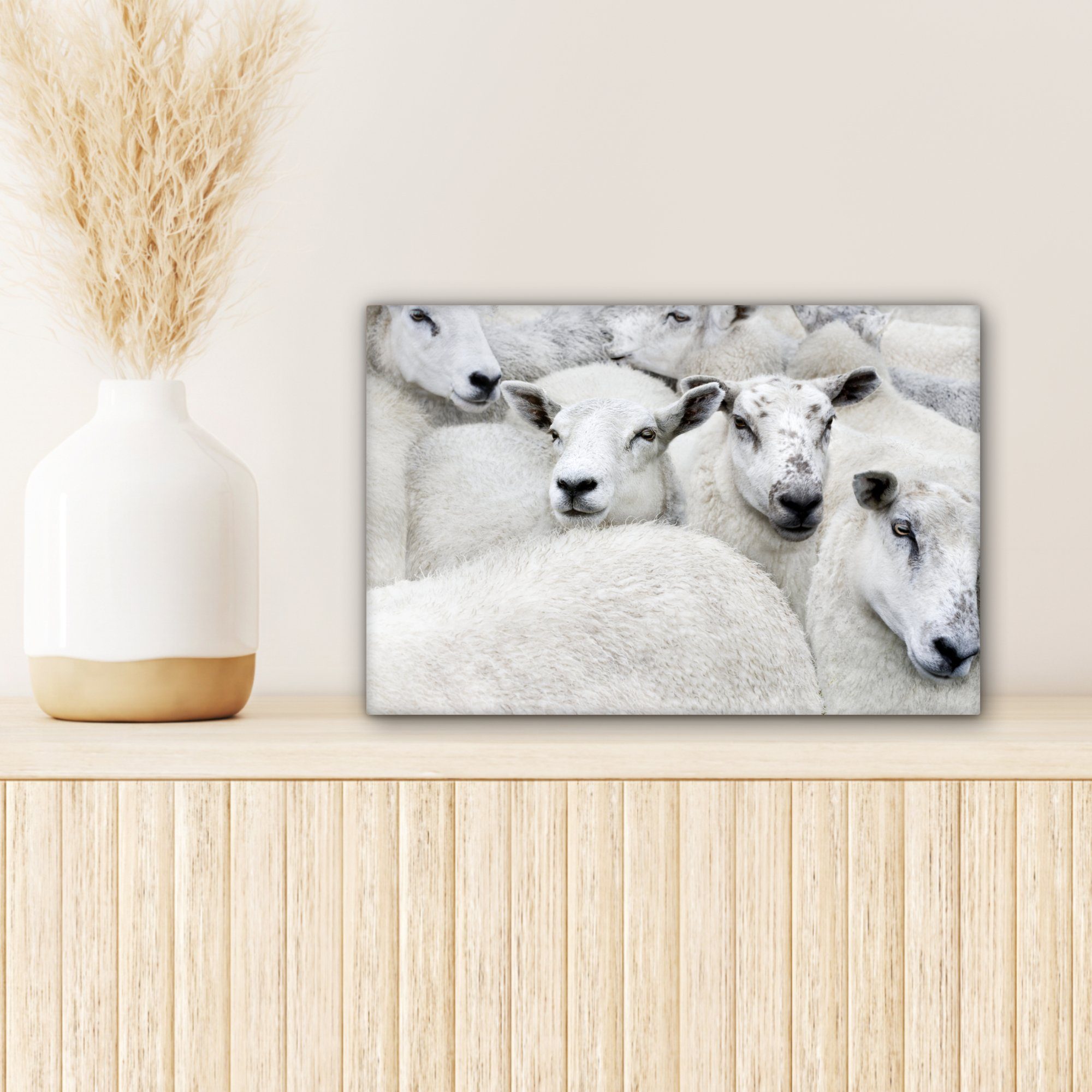 Tiere OneMillionCanvasses® - cm Leinwandbilder, - (1 Wandbild Schafe Bauernhof, Aufhängefertig, St), Leinwandbild Wanddeko, 30x20