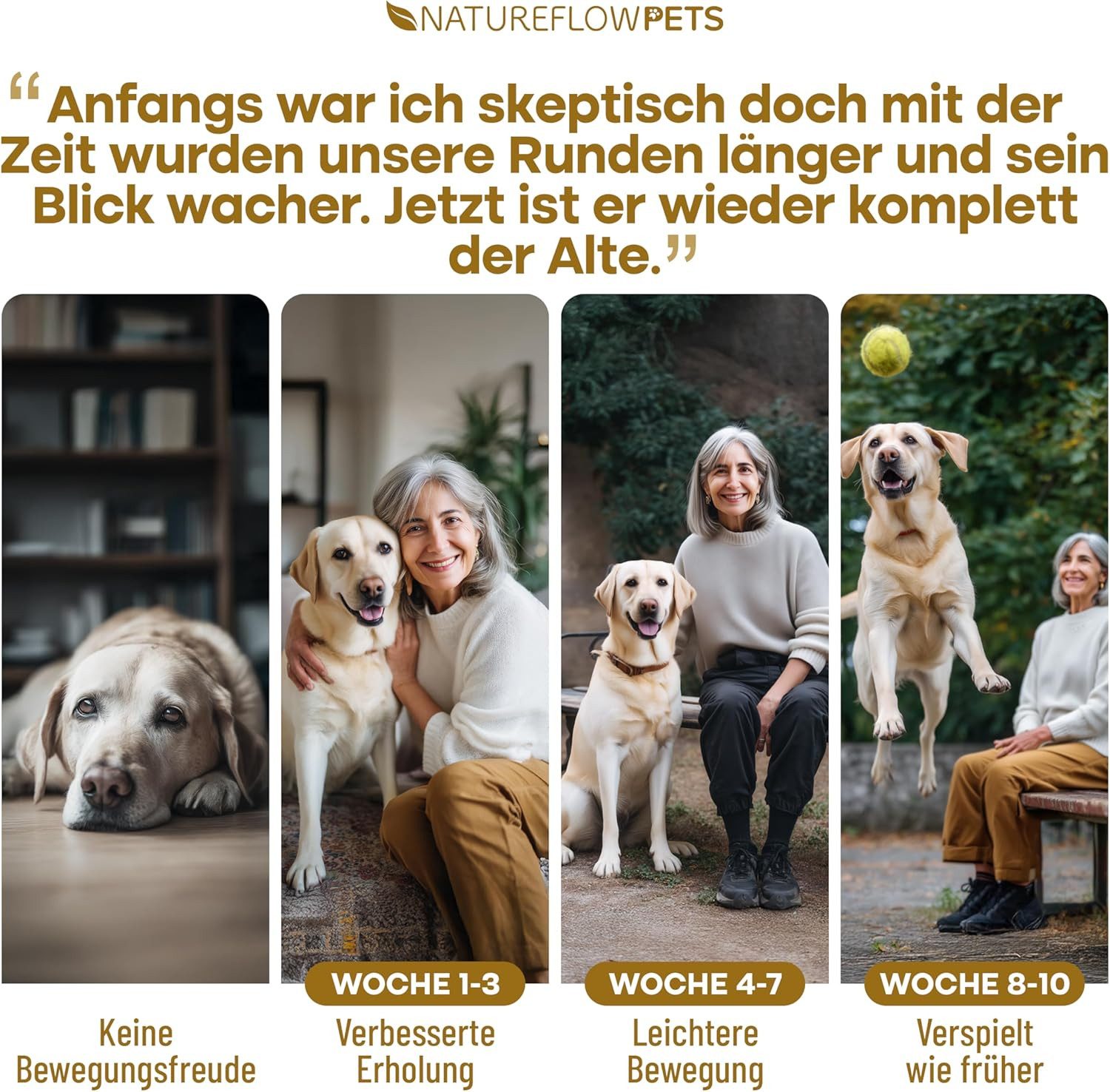 Natureflow Gelenktabletten für Hunde, 100 Stück, Grünlippmuschel, MSM & Glucosami, Ergänzungsfutter für: Hund, Hohe Akzeptanz, für Welpen bis Senioren, ergiebig bis zu 200 Tage, Ma…