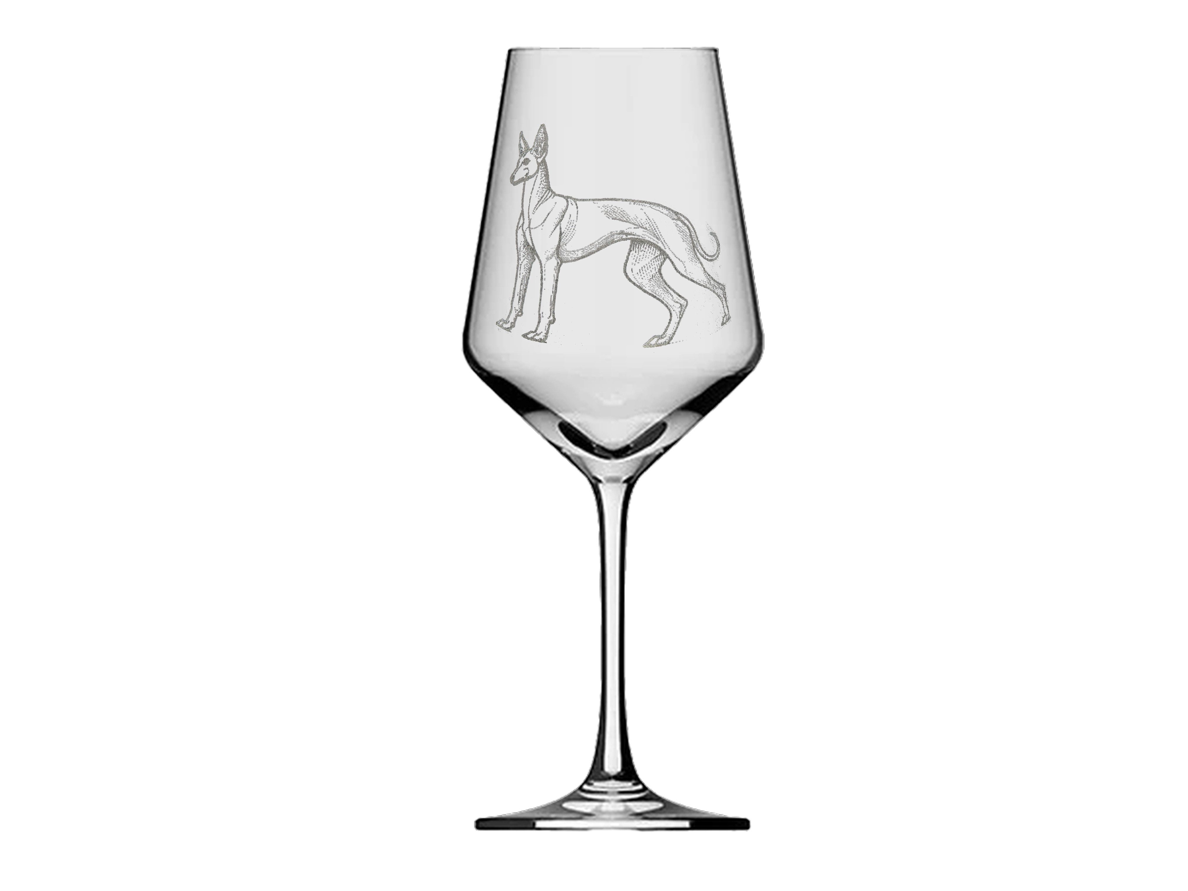 eXODA Weinglas Motiv Pudenco Lasergravur ein Kunstwerk für Kenner, 1-tlg., Glas, Atemberaubende Darstellung