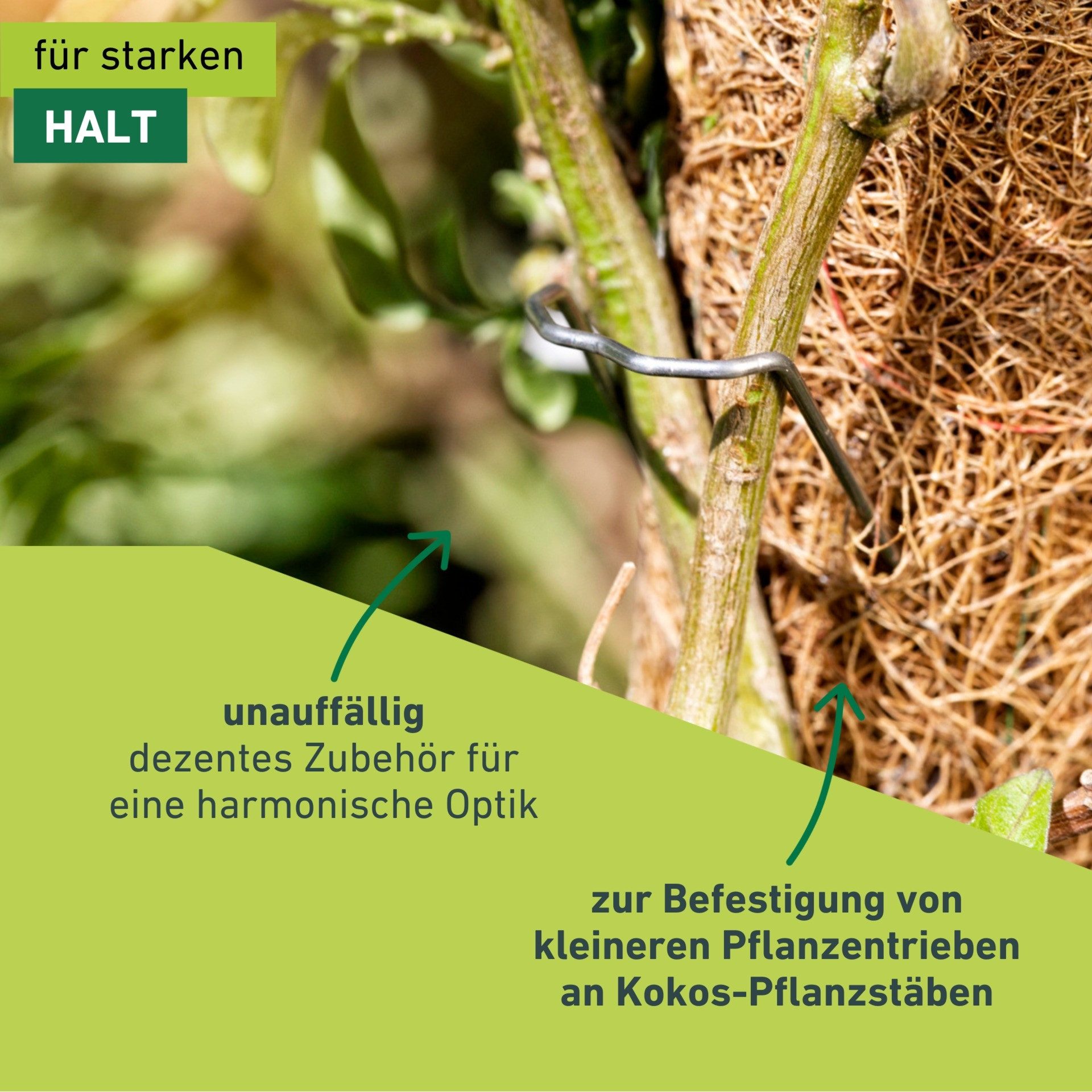 Windhager Rankhilfe Pflanzenstecker aus Metall, 50 Stk., 1 St., zur Befestigung von Pflanzentrieben an Kokos-Pflanzstäben – Bild 5 von 5