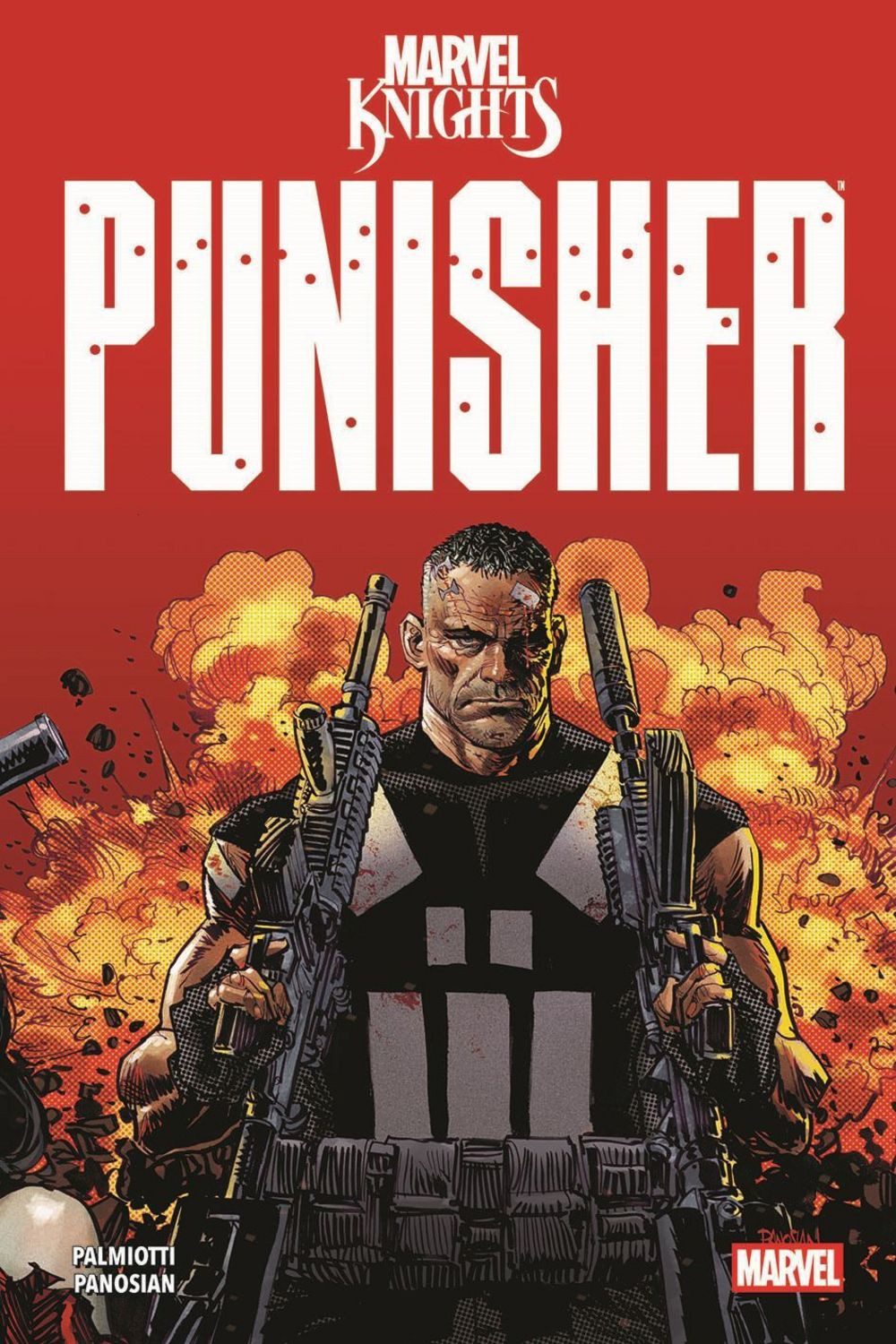 Marvel Knights: Punisher / Jimmy Palmiotti, Dan Panosian