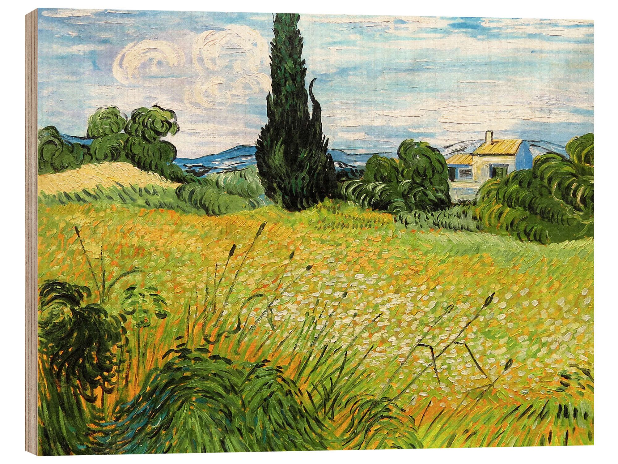 Posterlounge Wandbild Grünes Weizenfeld mit Zypresse, Vincent van Gogh, erhältlich als Poster, Leinwandbild, Wandsticker oder Acrylglasbild