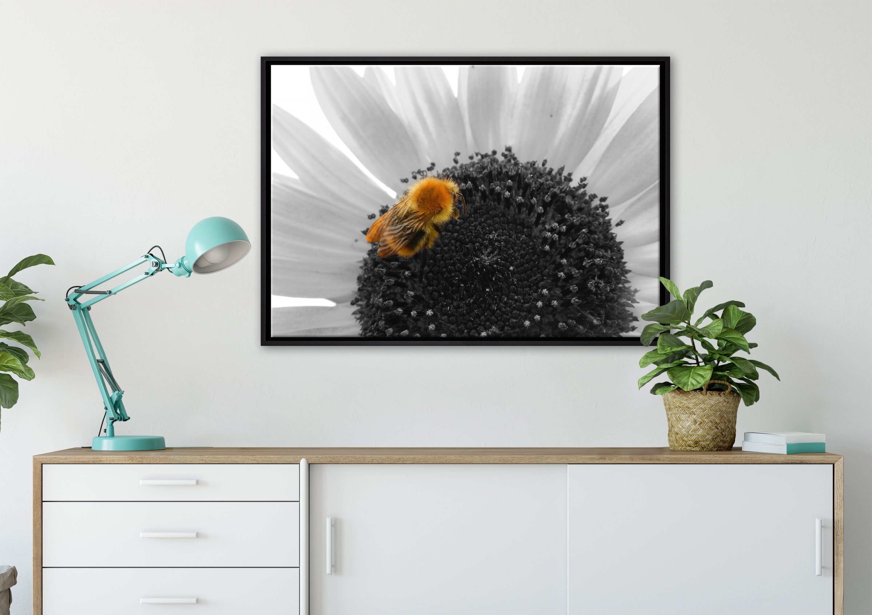 in Sonnenblume, (1 Schattenfugen-Bilderrahmen gefasst, fertig Zackenaufhänger bespannt, einem großer inkl. Pixxprint auf St), Biene Leinwandbild Leinwandbild Wanddekoration süße