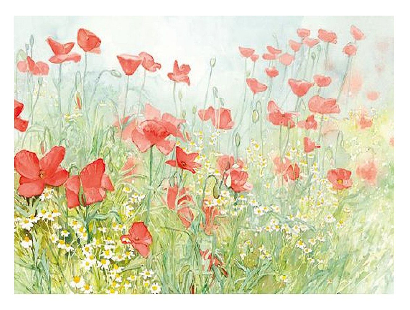 AVA Platzset, Tischsets aus Papier 43x30cm Mohnblumen Motiv 50 Stück Grün / Bunt