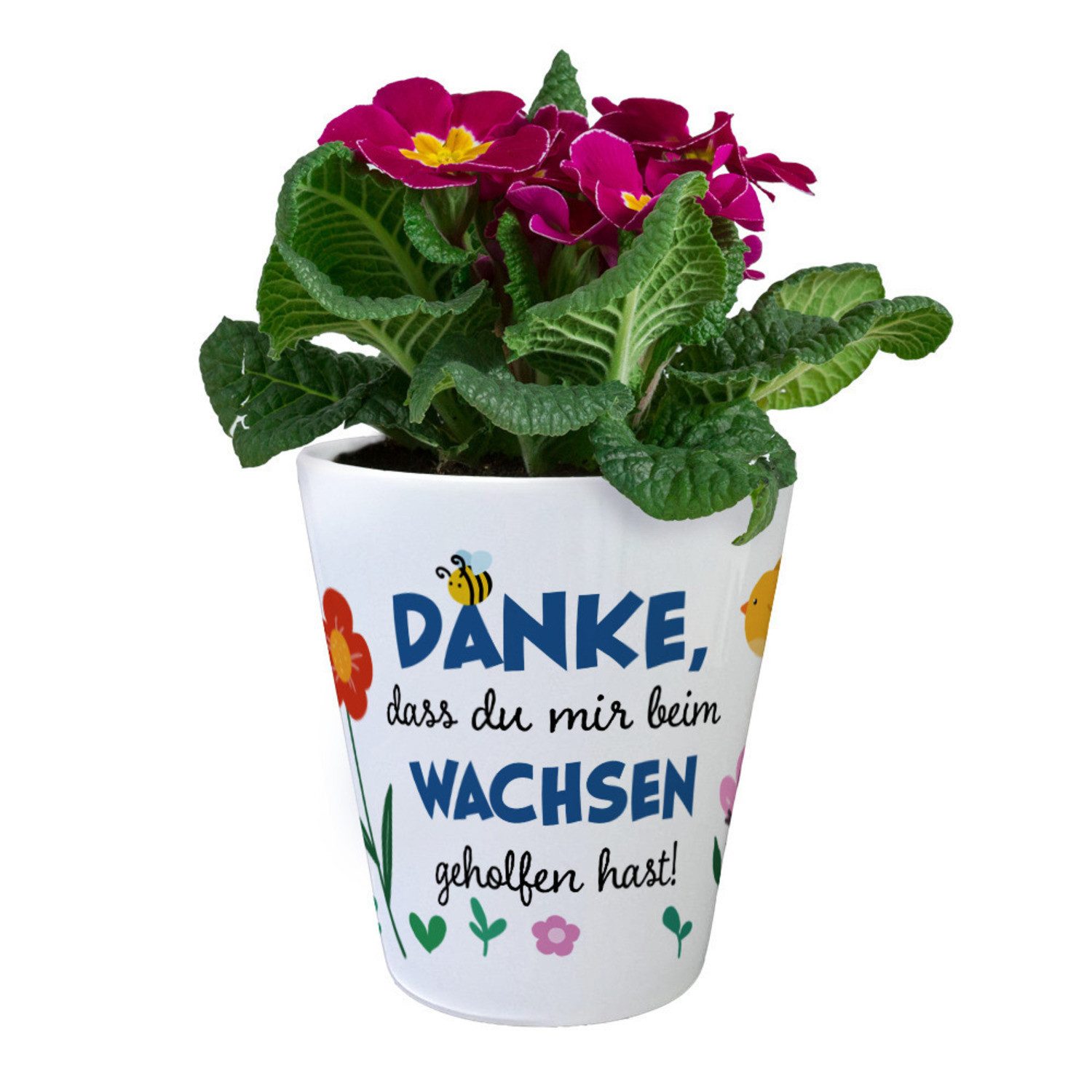 speecheese Blumentopf Danke dass du mir günstig online kaufen