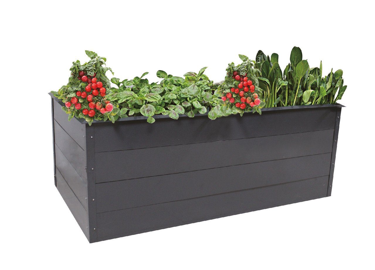 Trend Line Hochbeet TrendLine Hochbeet Stahl 200 x 100 x 76 cm Lech