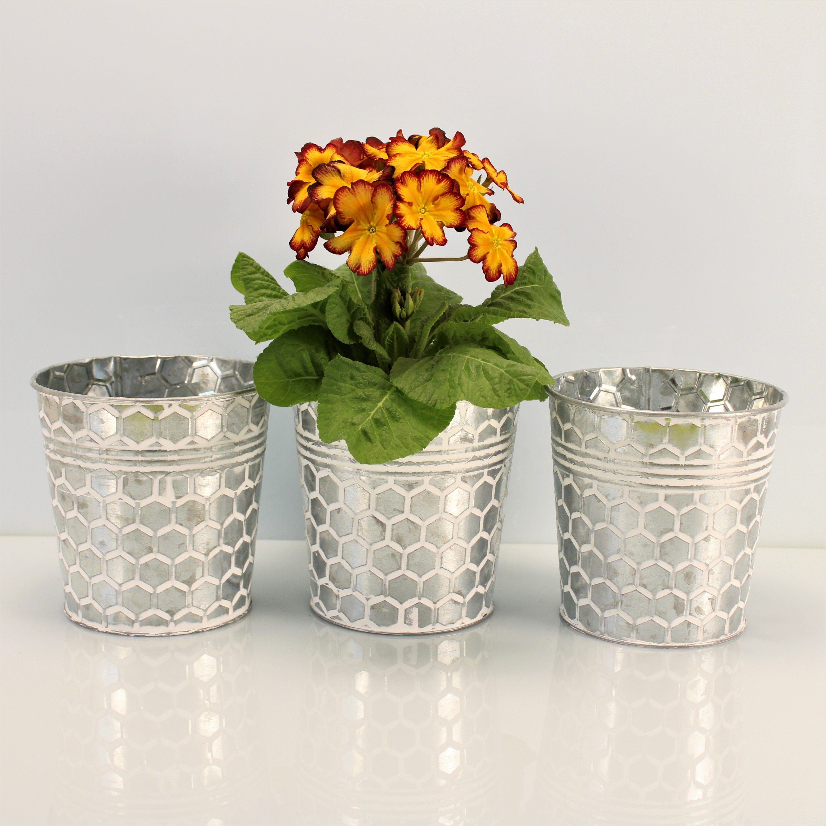 Online-Fuchs Blumentopf Runde silberne Blumentöpfe aus günstig online kaufen