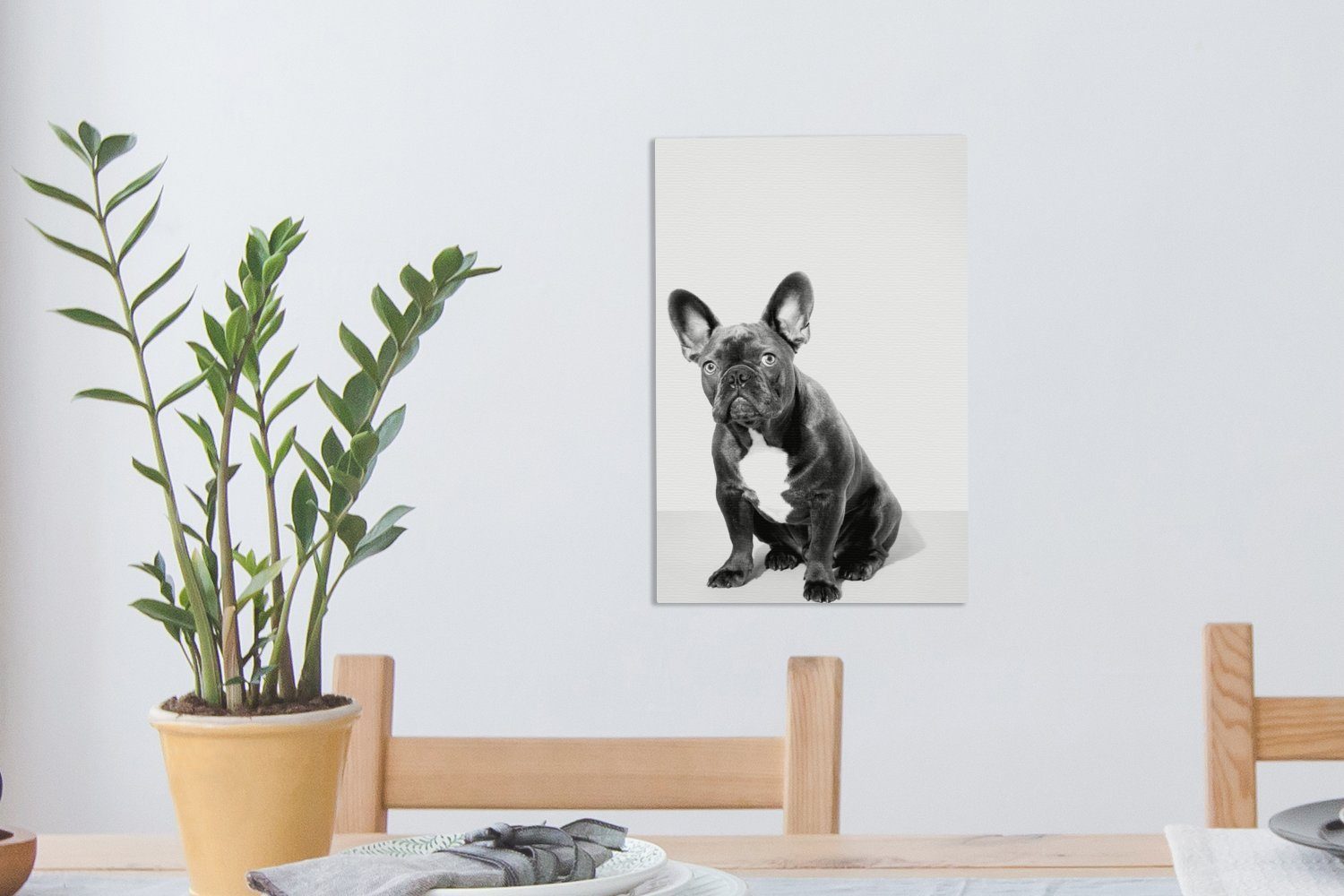 OneMillionCanvasses® Leinwandbild Studio-Porträt Zackenaufhänger, Bulldogge französischen - 20x30 St), Gemälde, cm (1 bespannt schwarz und inkl. Leinwandbild einer weiß, fertig