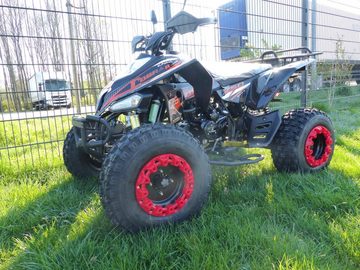 KXD Quad 250 ccm Quad Alpharad Offroad Edition ATV Enduro mit Straßenzulassung