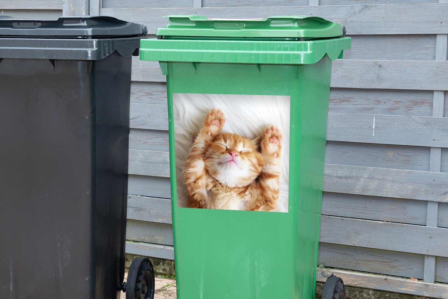 Haustiere - Mülleimer-aufkleber, Abfalbehälter - - Kätzchen Container, MuchoWow St), Wandsticker Katze Rot Mülltonne, (1 Sticker,