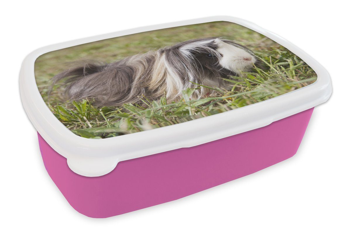 Kinder, Kunststoff Erwachsene, für Brotbox Lunchbox MuchoWow rosa Langhaar-Meerschweinchen, (2-tlg), Kunststoff, Mädchen, Brotdose Snackbox,
